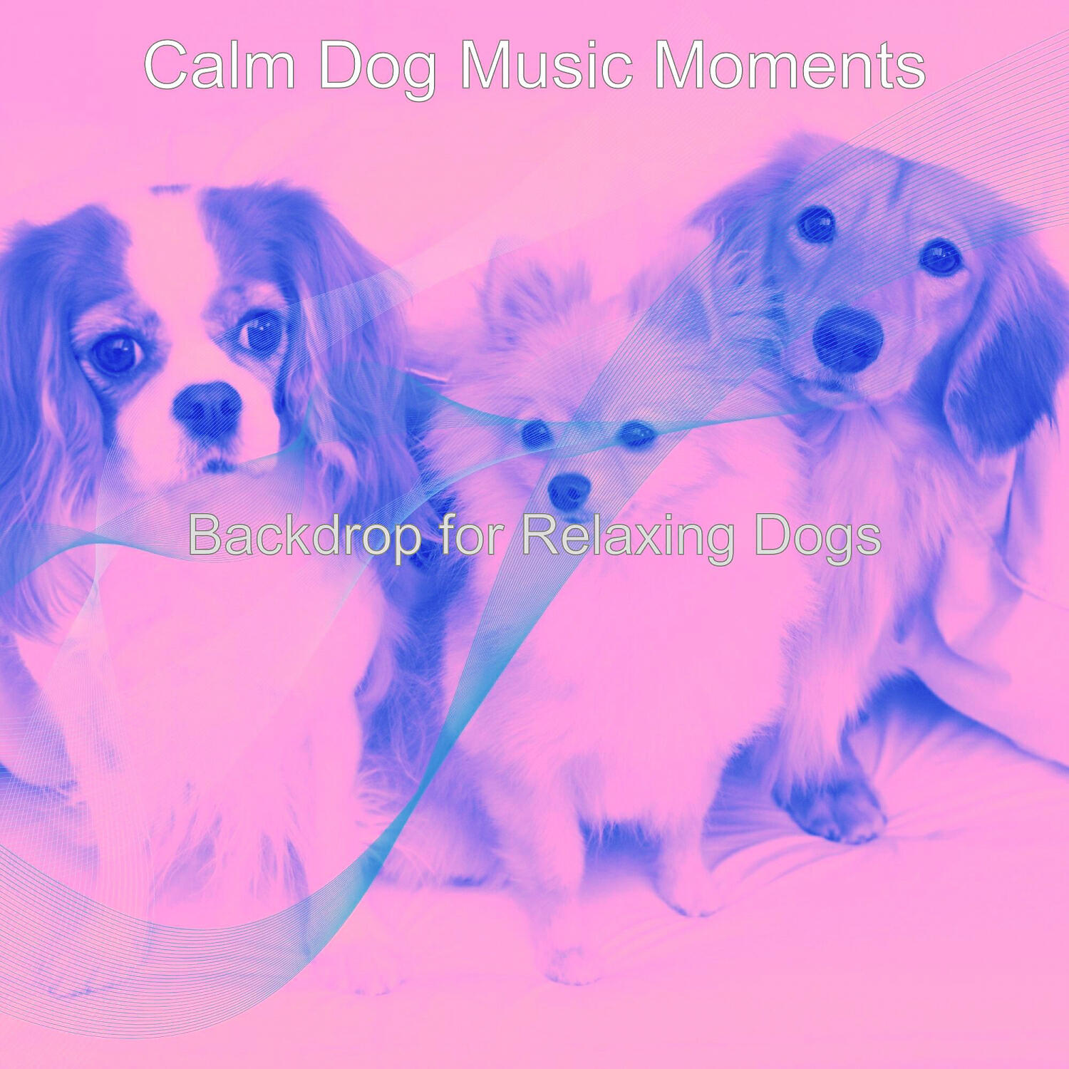 Calm Dog Music Moments - Background for Cute Dogs