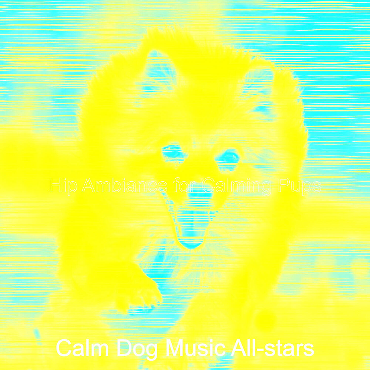Calm Dog Music All-stars - Playful Ambience for Walking Doggies