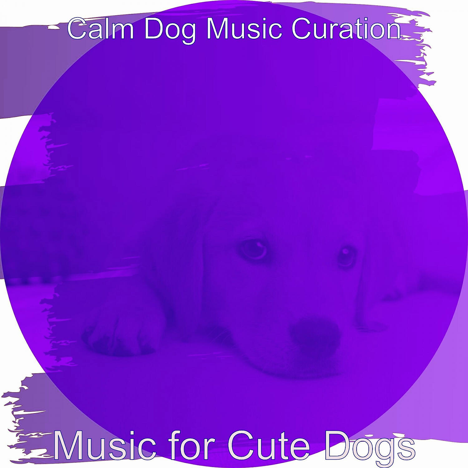 Calm Dog Music Curation - Spirited Solo Piano Jazz - Vibe for Calming Pups