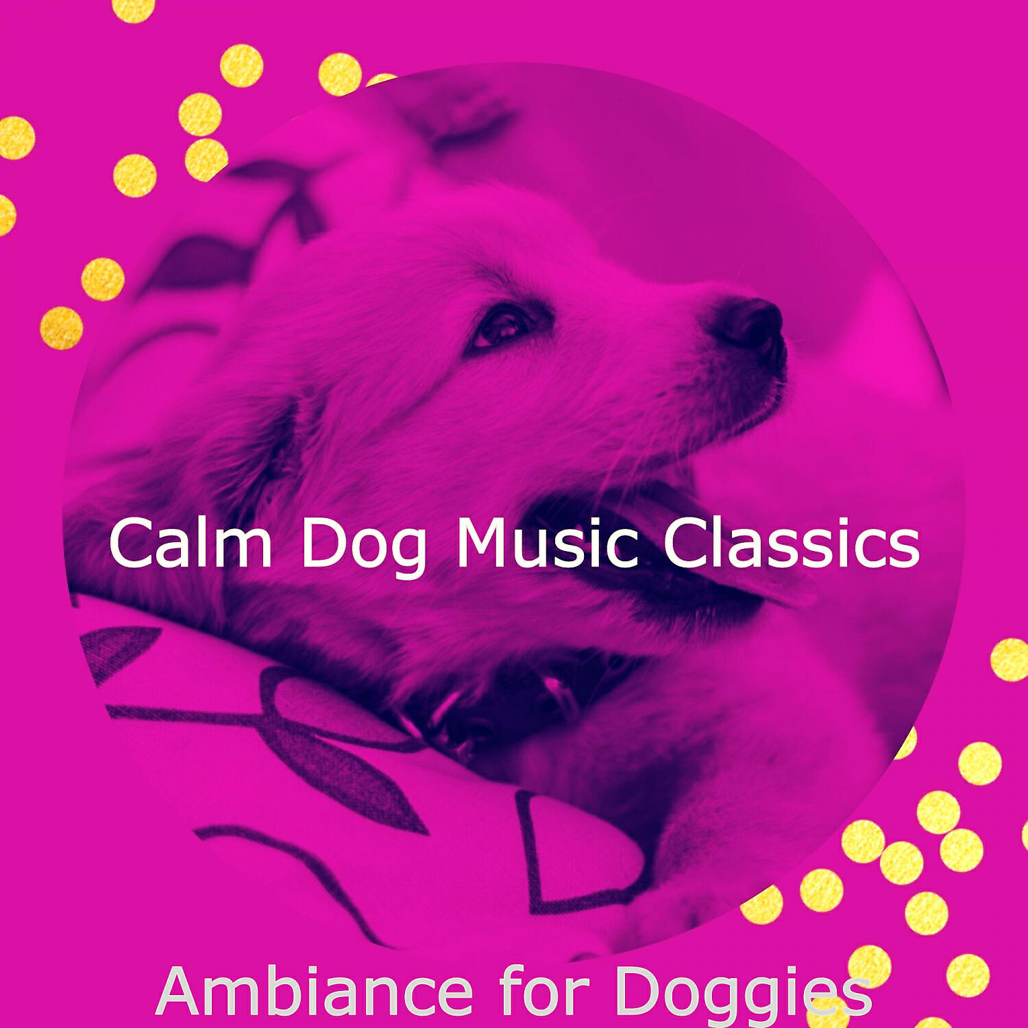 Calm Dog Music Classics - Amazing Moods for Walking Doggies