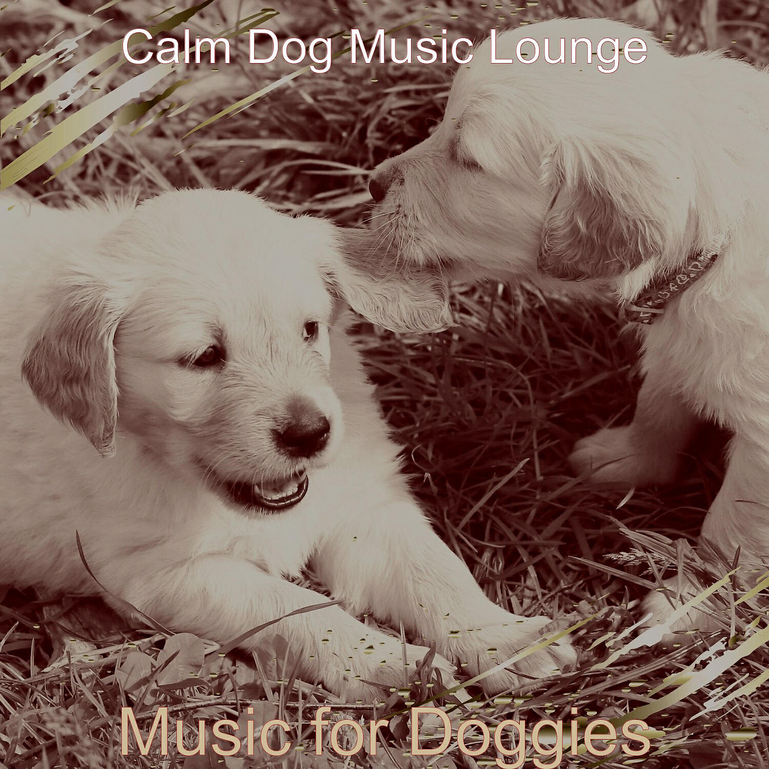 Calm Dog Music Lounge - Serene Solo Piano Jazz - Vibe for Doggies