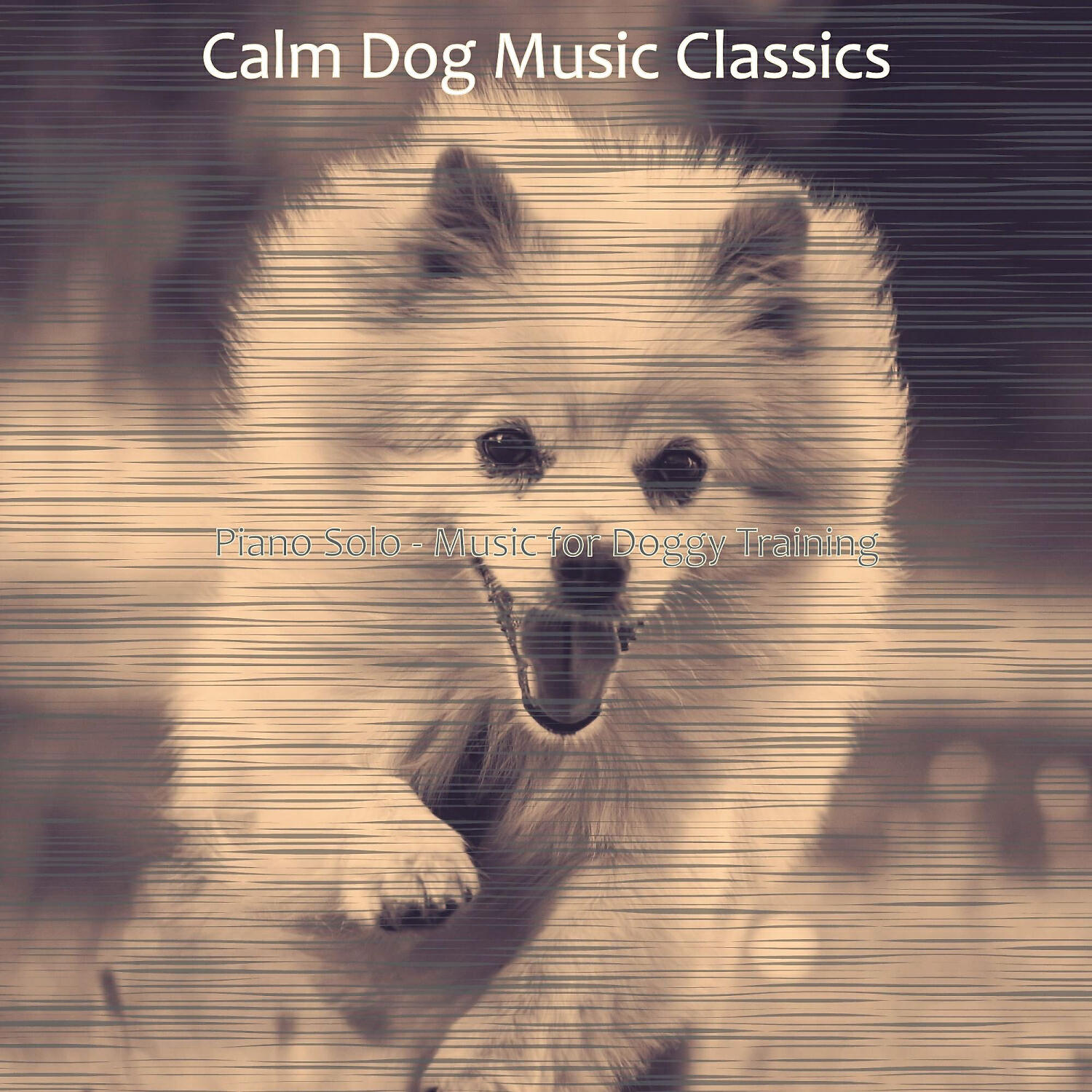 Calm Dog Music Classics - Divine Moods for Calming Pups