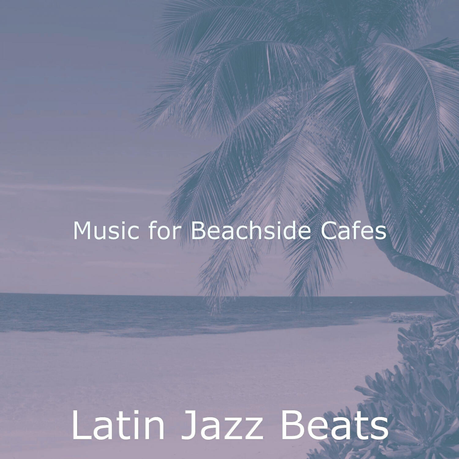 Latin Jazz Beats - Relaxed Moods for Dinner Parties