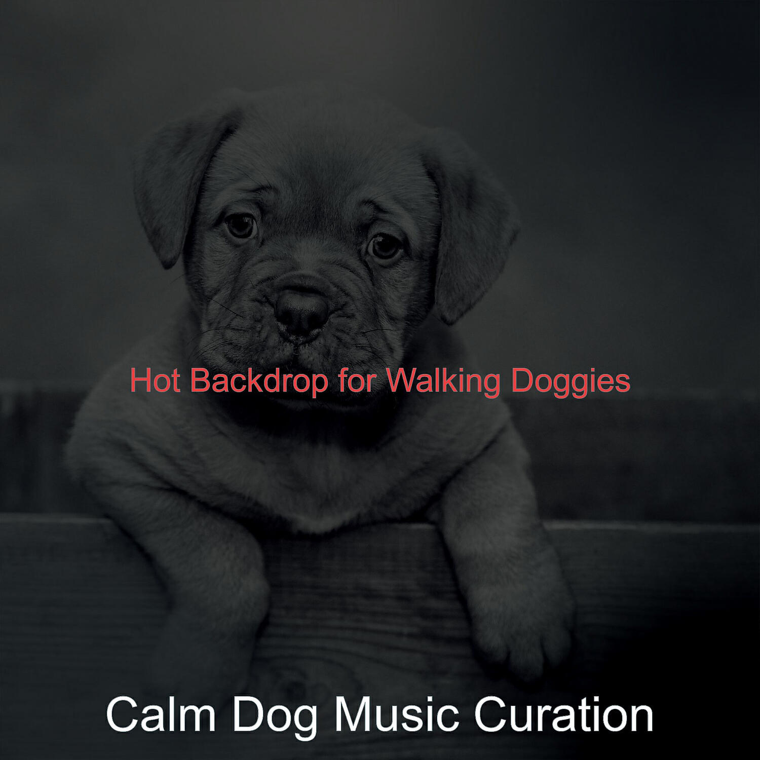 Calm Dog Music Curation - Outstanding Solo Piano Jazz - Vibe for Doggy Training