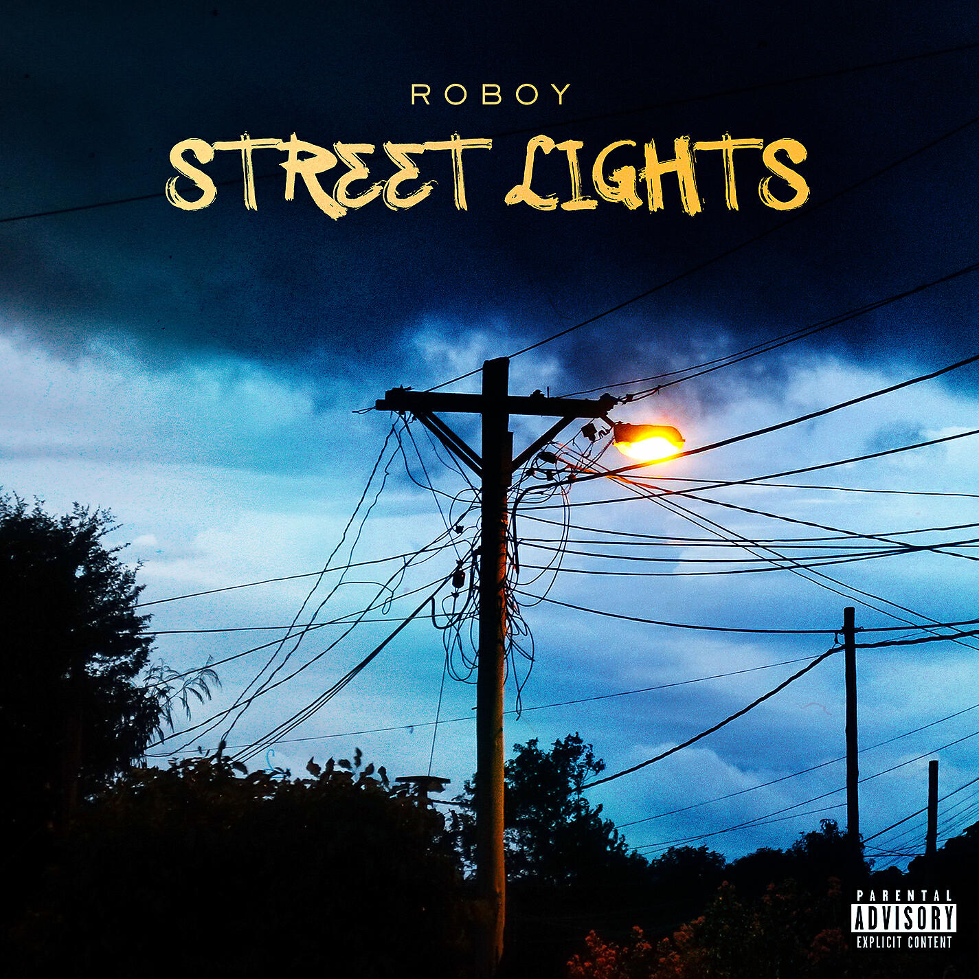 Roboy - Street Lights