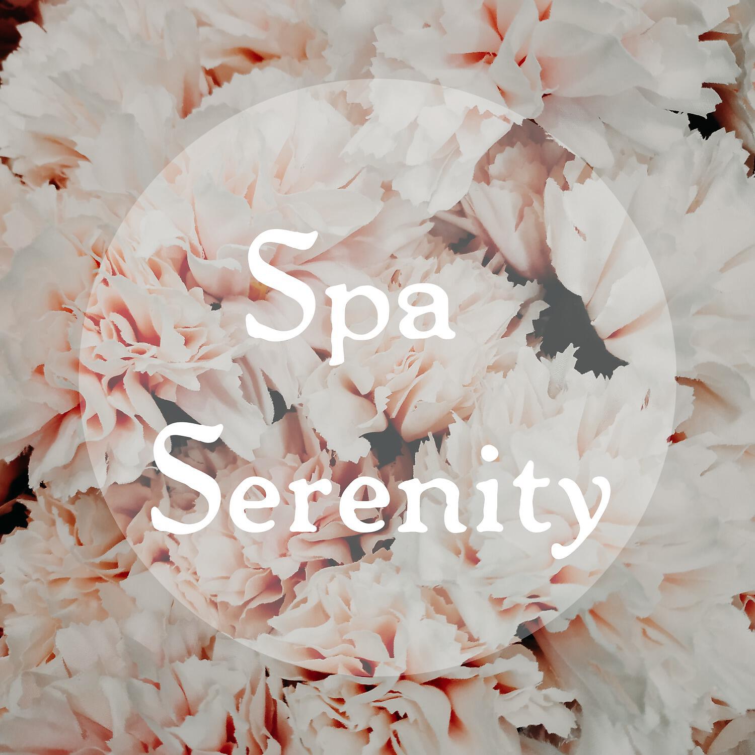 Spa Music - Distant Memory