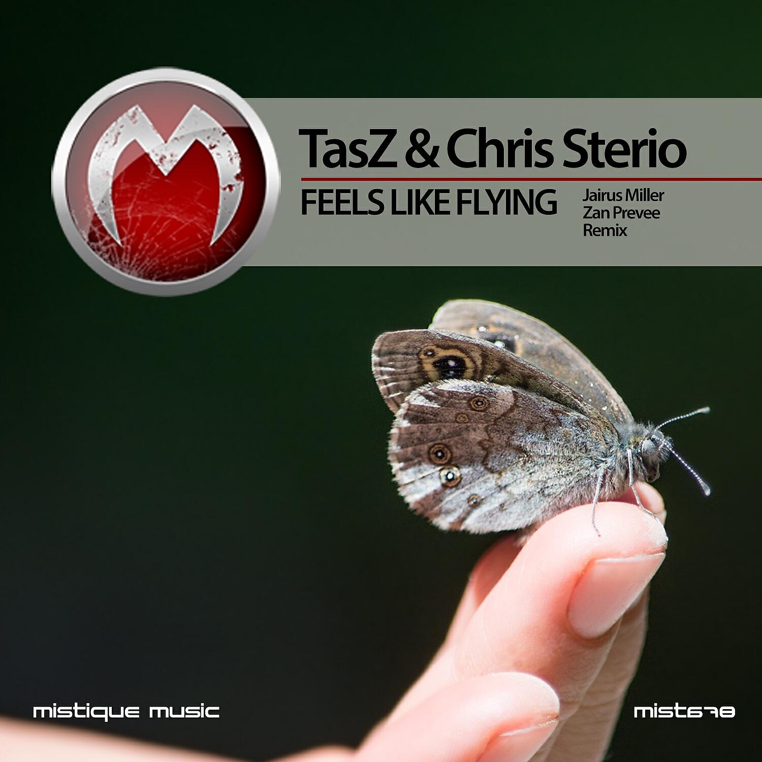 TasZ - Feels Like Flying (Zan Prevee Remix)