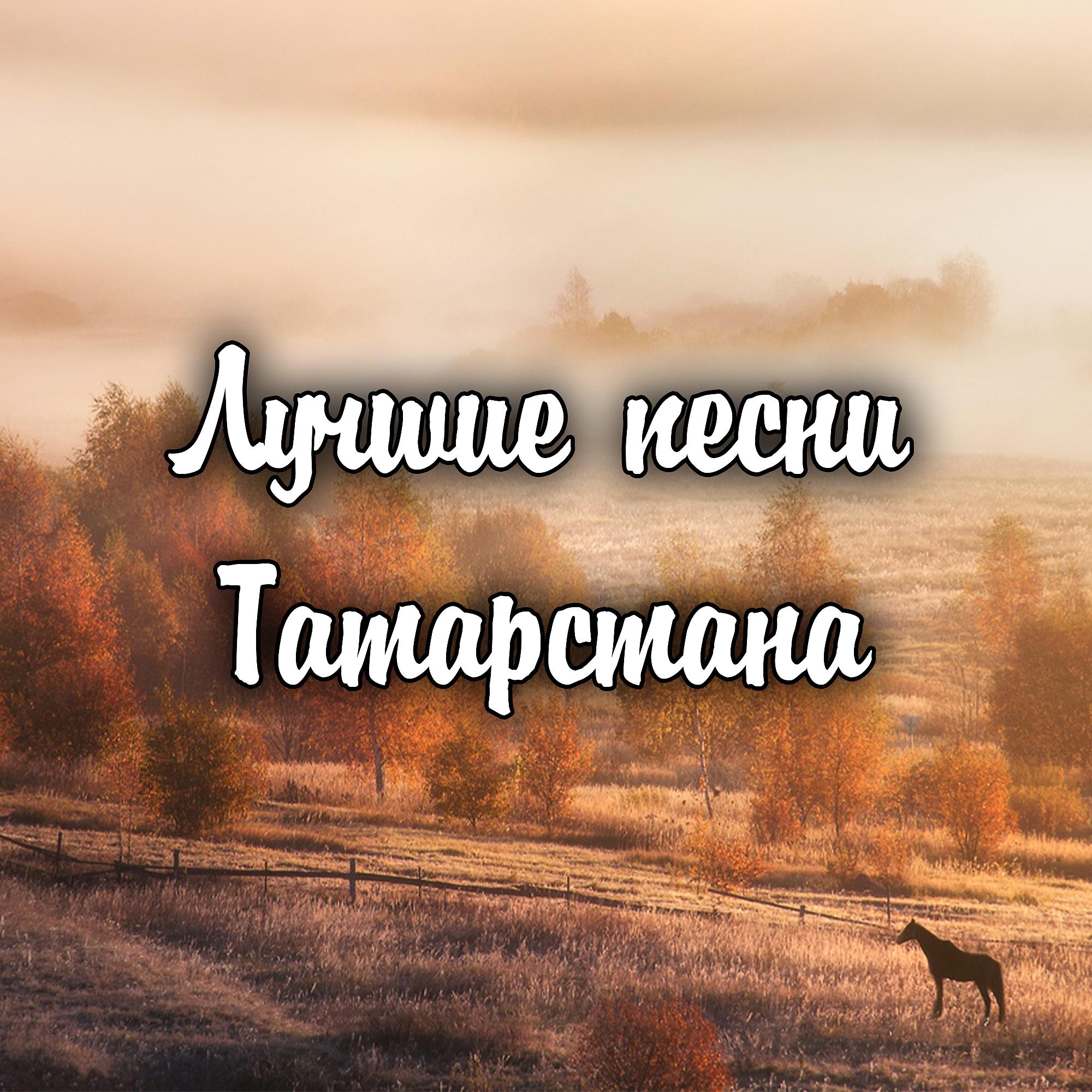 Постер альбома Лучшие песни Татарстана
