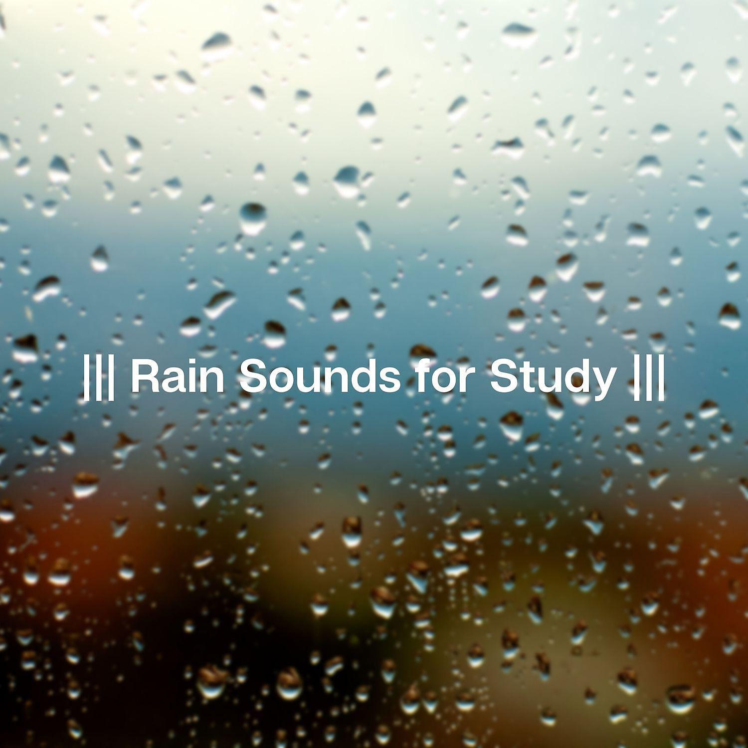 Постер альбома Rain Sounds for Study