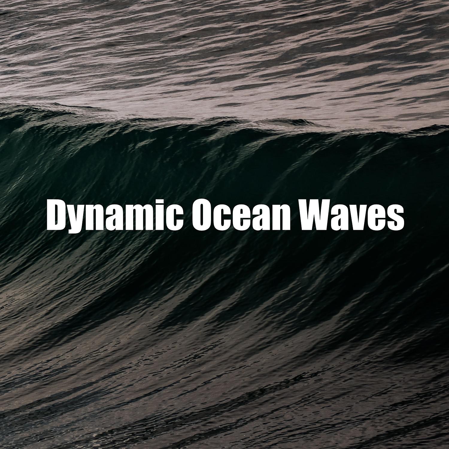 Постер альбома Dynamic Ocean Waves