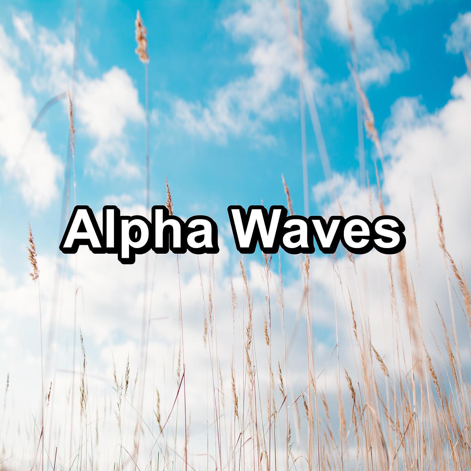 Study Alpha Waves - Coolest Background Beeper for Sleep