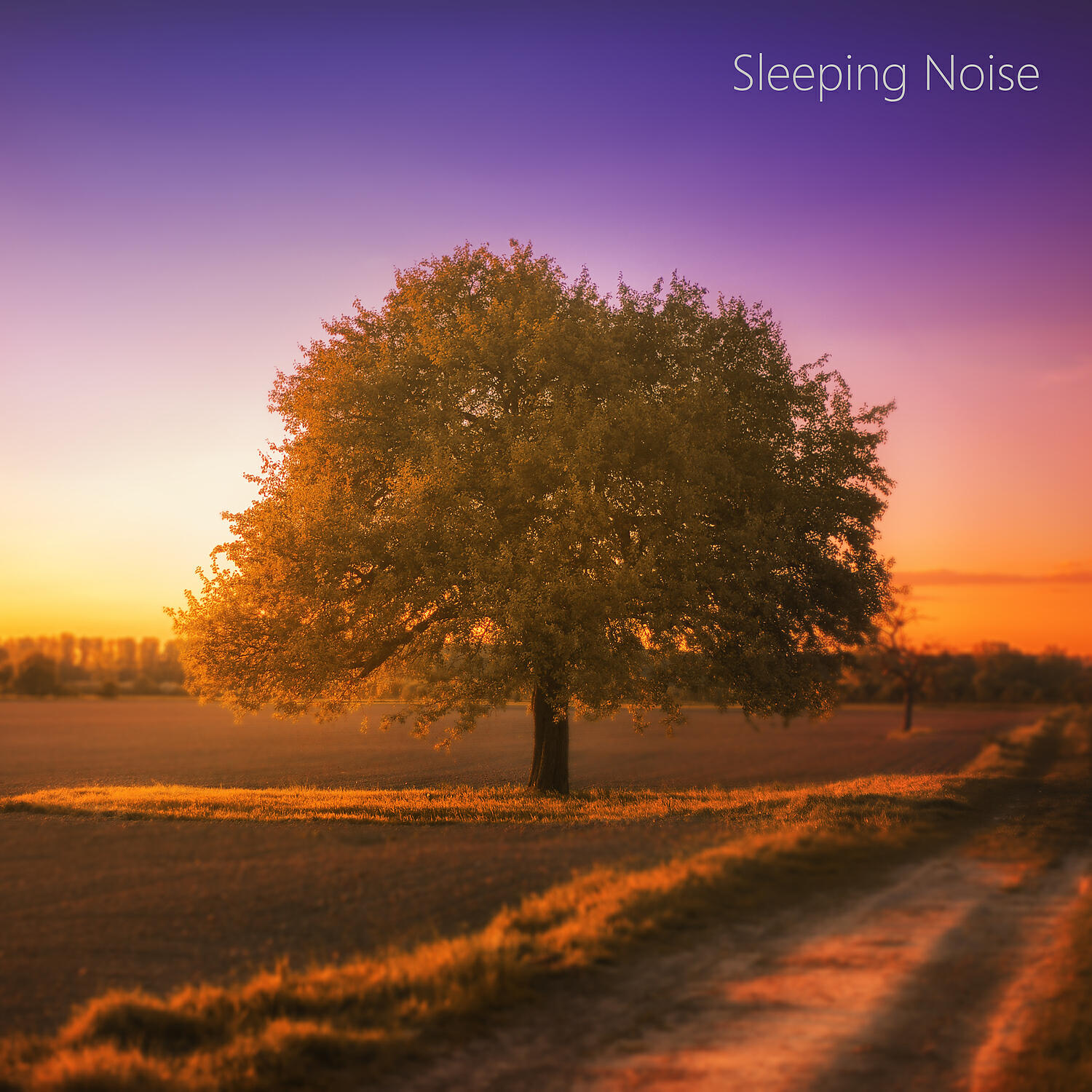 White Noise ASMR Sleep - Wide Array of Fan Sound Noise for Restless People