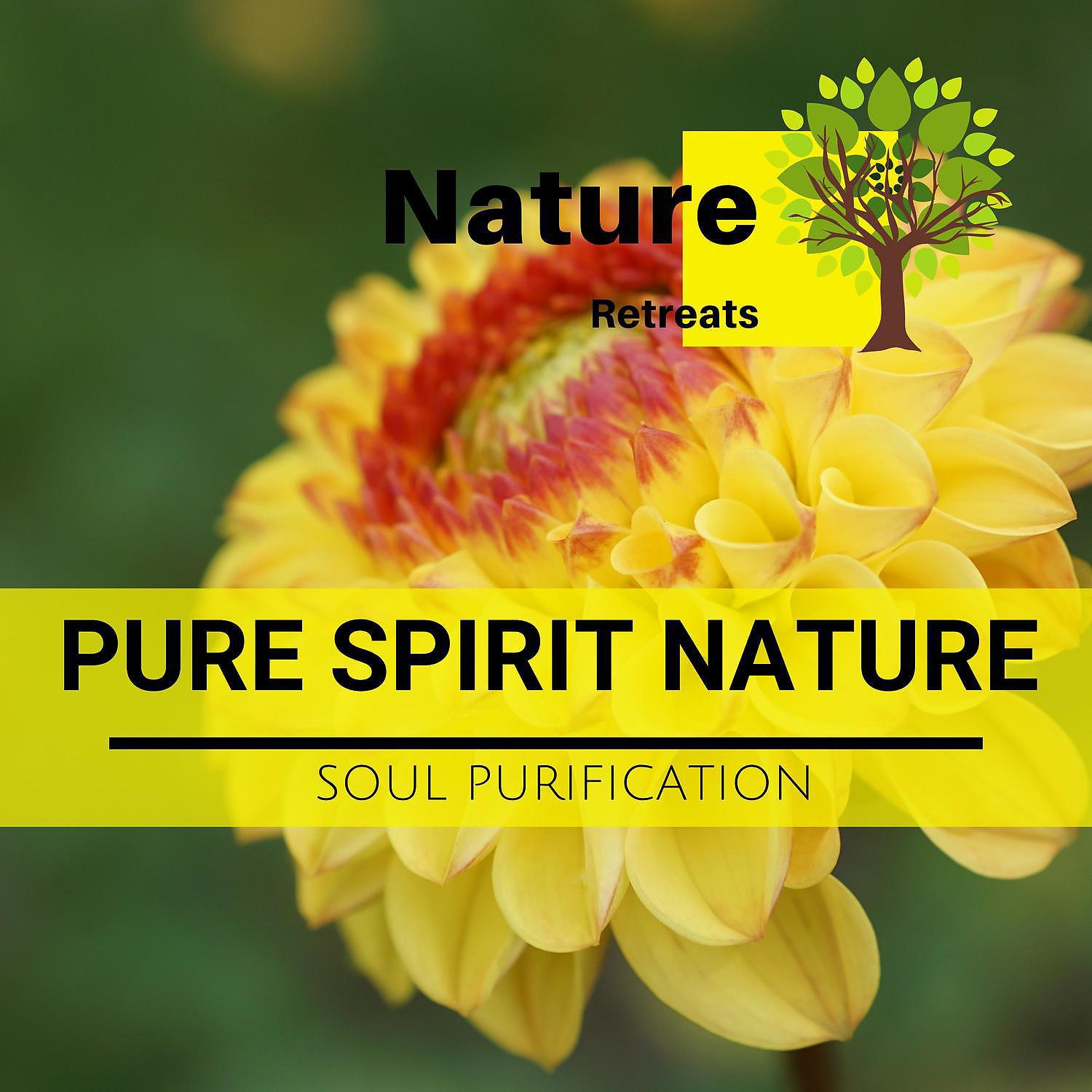 Постер альбома Pure Spirit Nature - Soul Purification