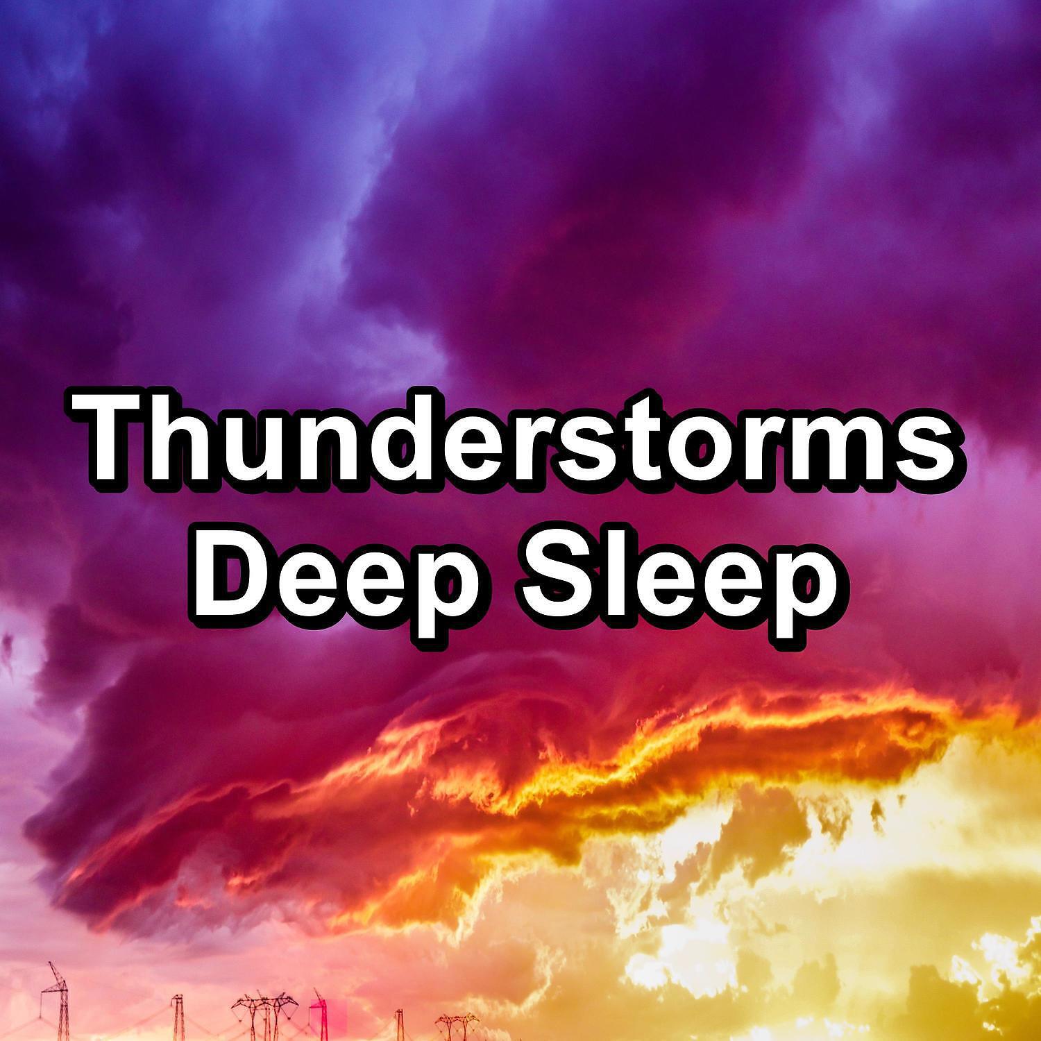 Nature & Sounds Backgrounds - Forest Rain and Nature Sounds in the Night