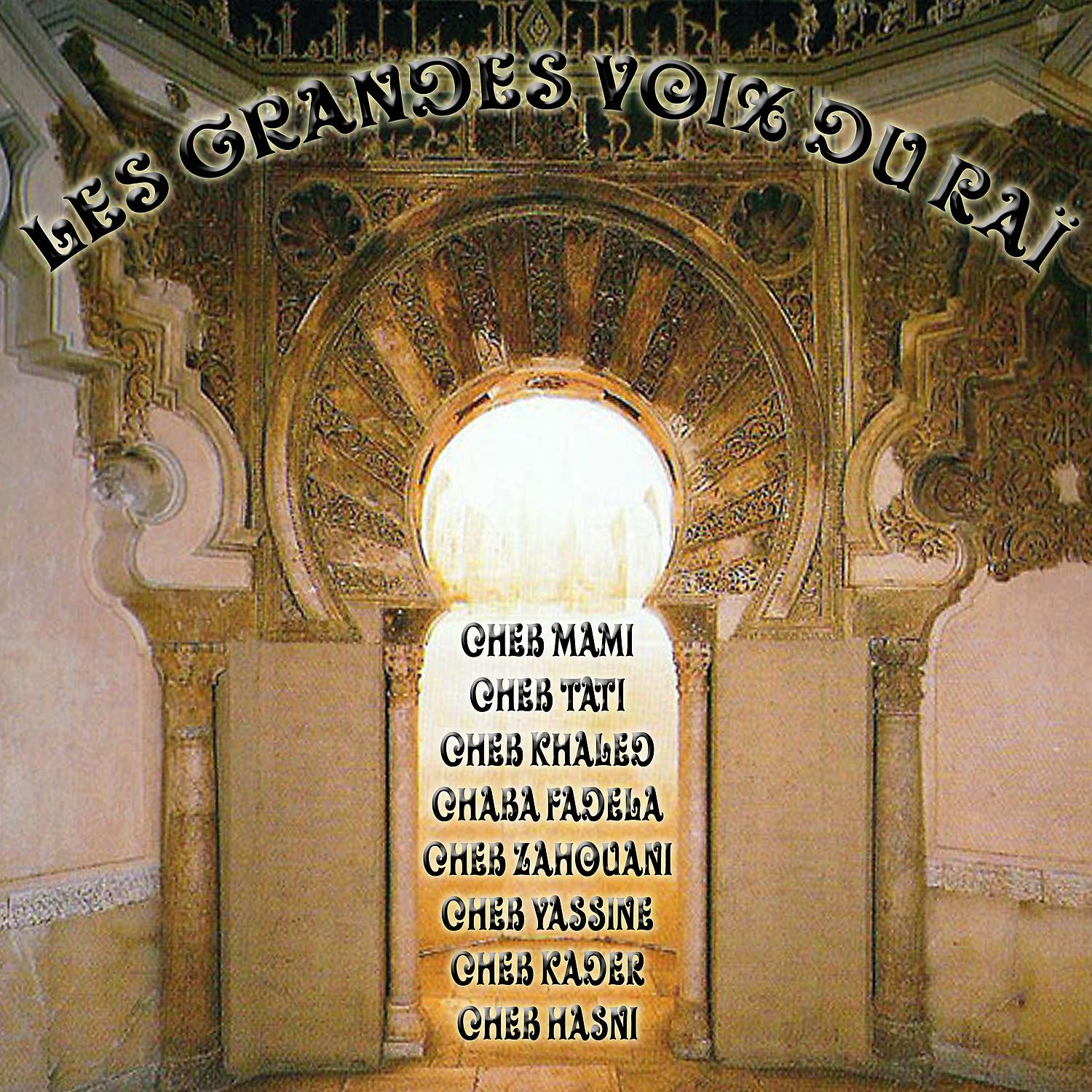 Постер альбома Les grandes voix du raï
