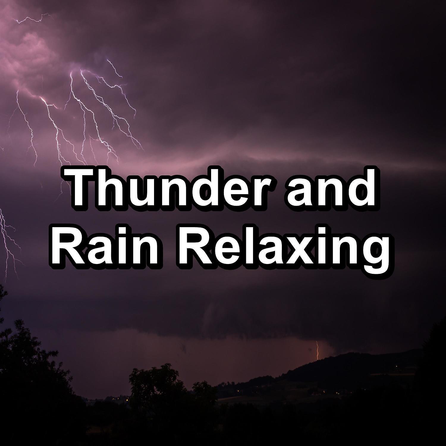 Sleep Songs with Nature Sounds - Forest Rain with Nature Music Pure Sounds to Help Insomnia
