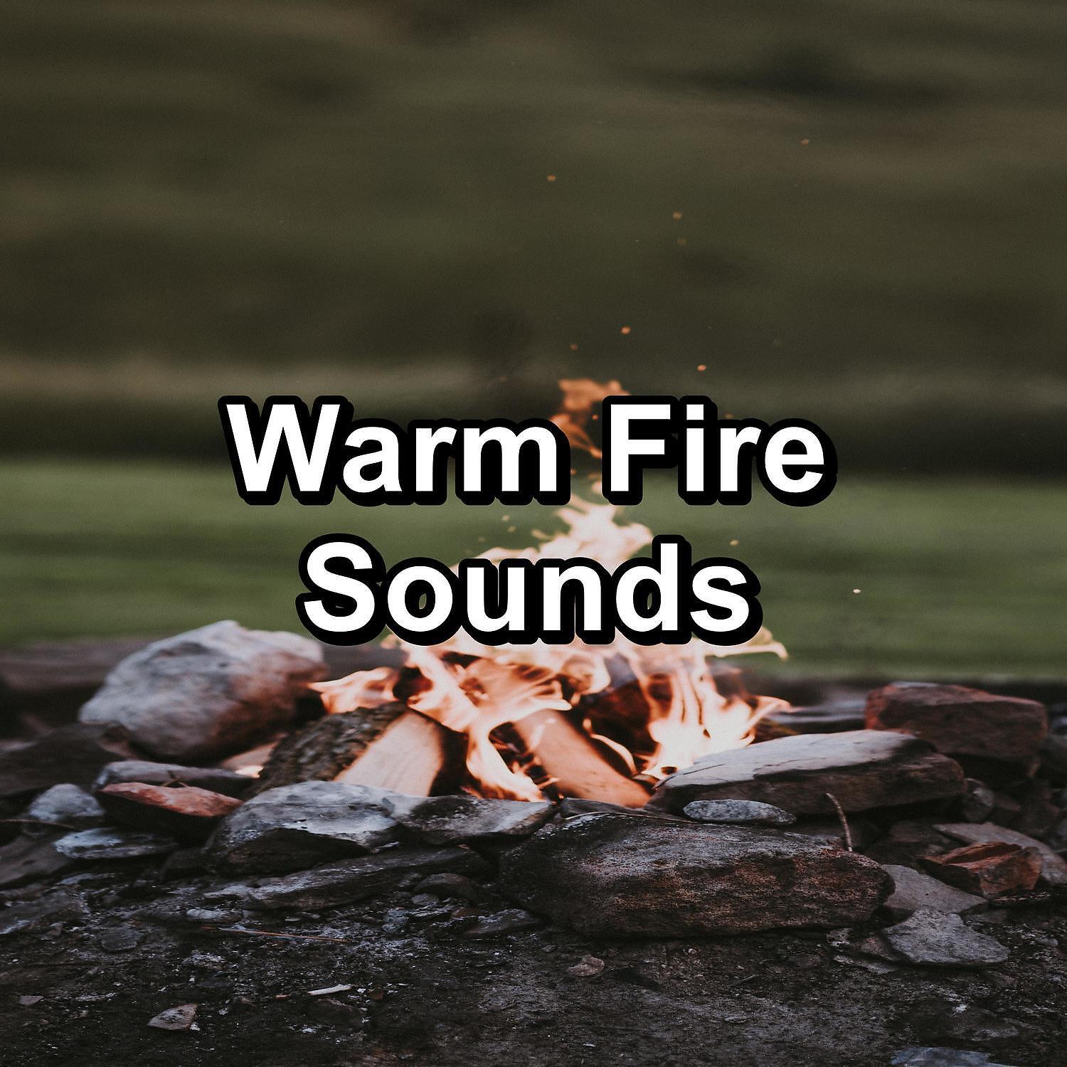 Christmas Songs - Cozy Campfire For Concentration Relaxing Nature Sounds