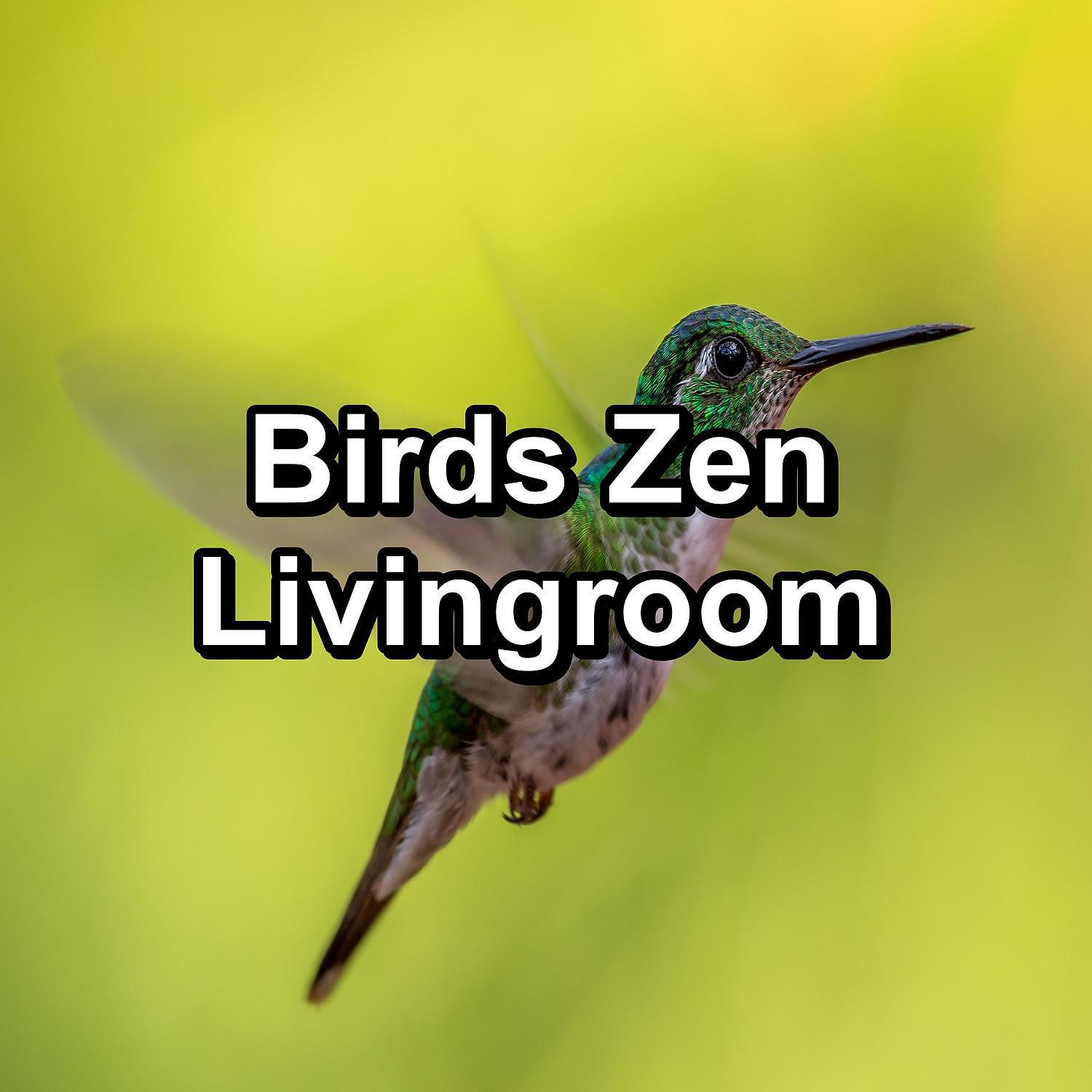 Постер альбома Birds Zen Livingroom