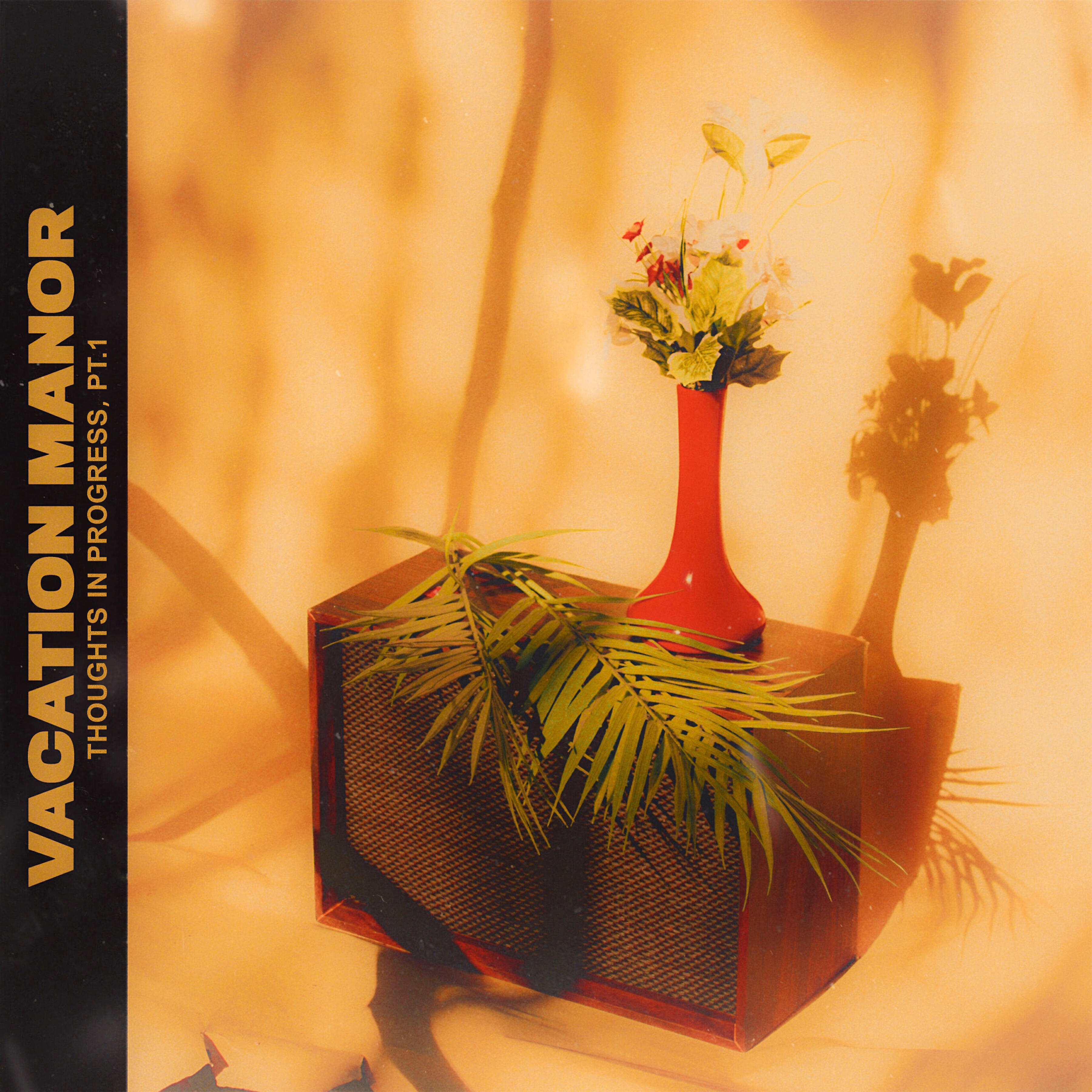 Vacation Manor - If Only for Tonight