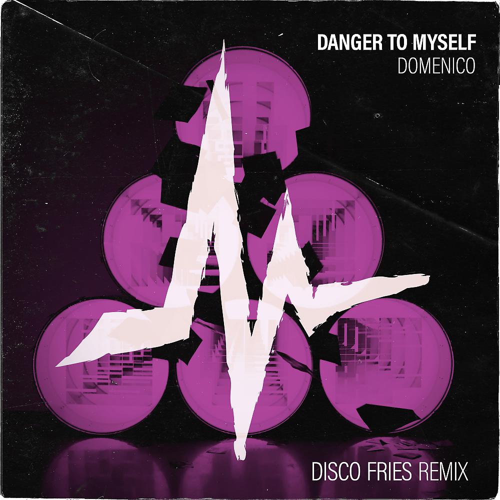 Постер альбома Danger To Myself (Disco Fries Remix)