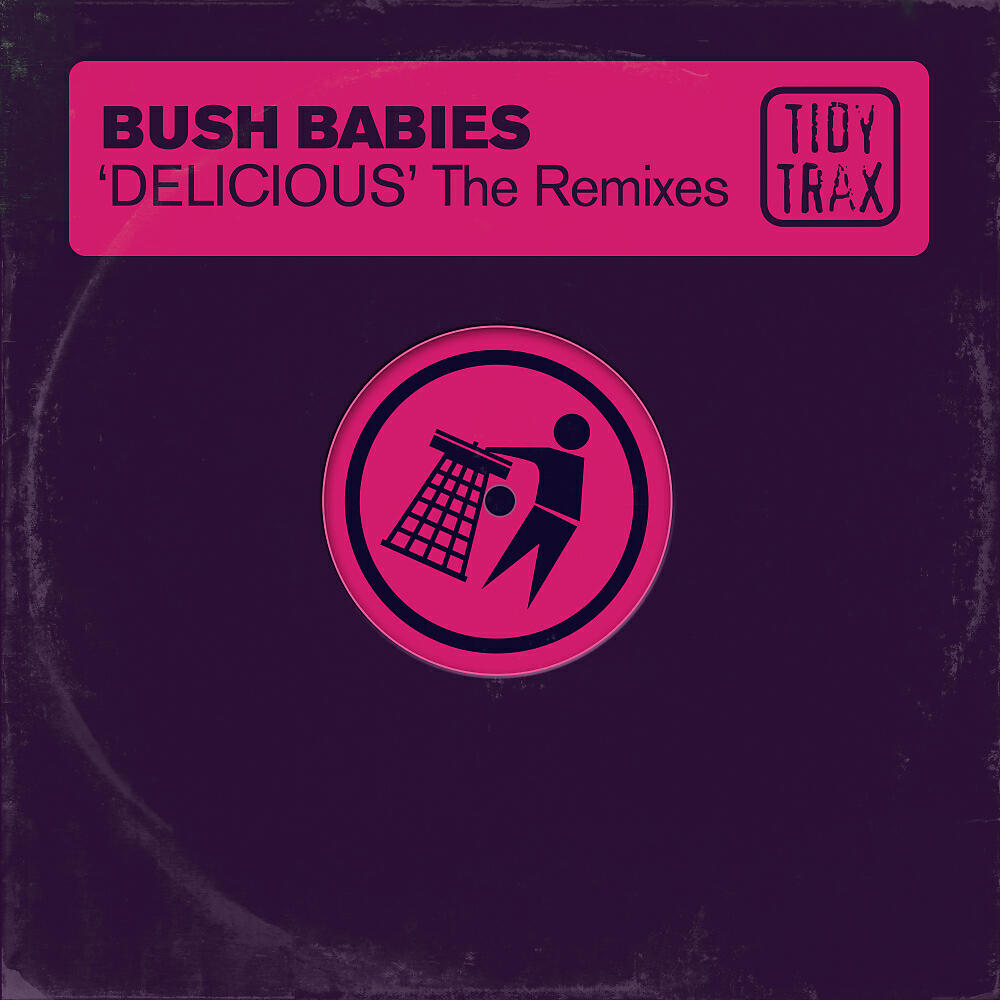 Bush Babies - Delicious (John 00 Fleming Remix)