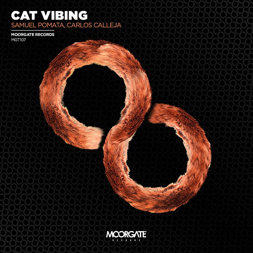 Постер альбома Cat Vibing