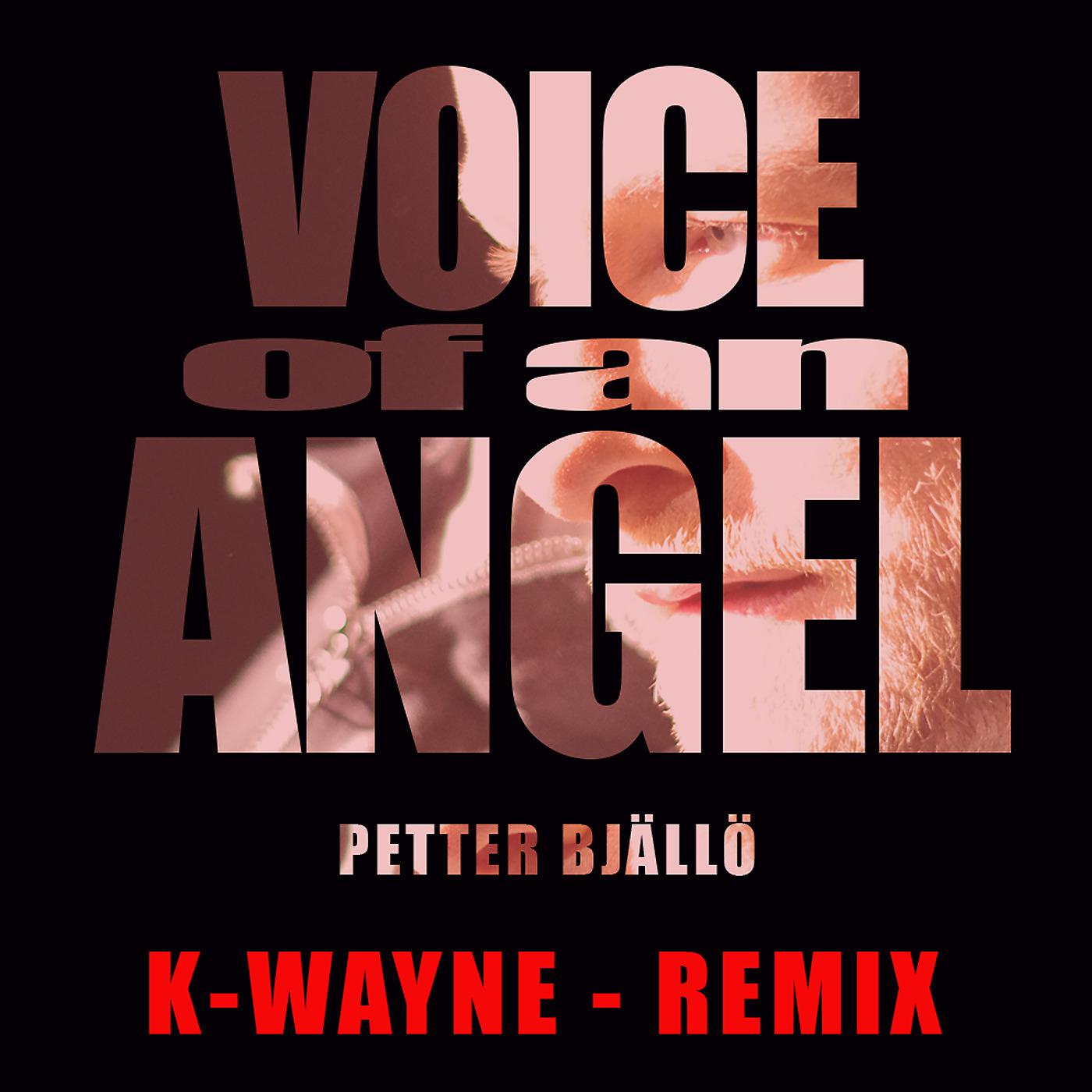Постер альбома Voice of an Angel (K-Wayne Remix)