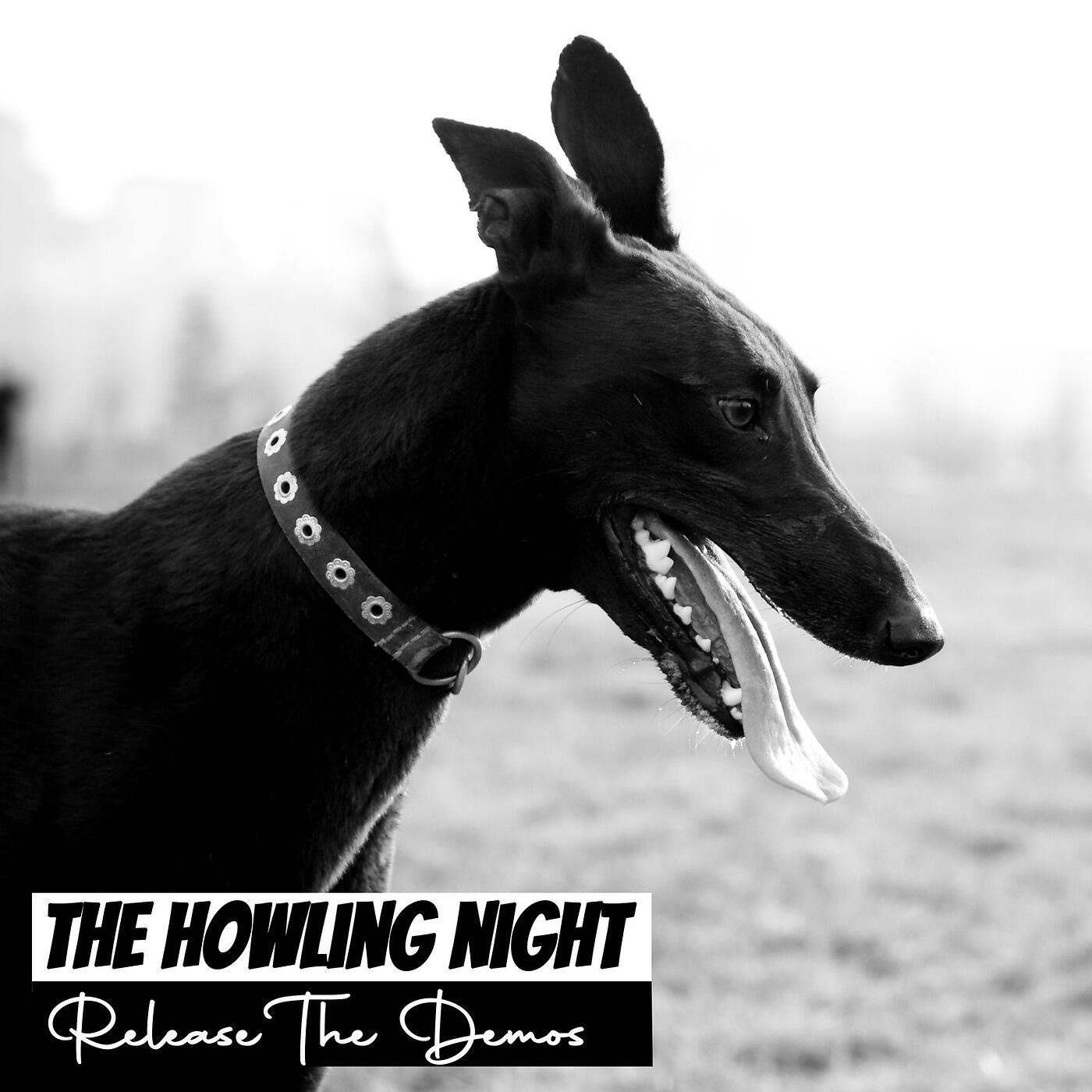 The Howling Night - Recode My Encode