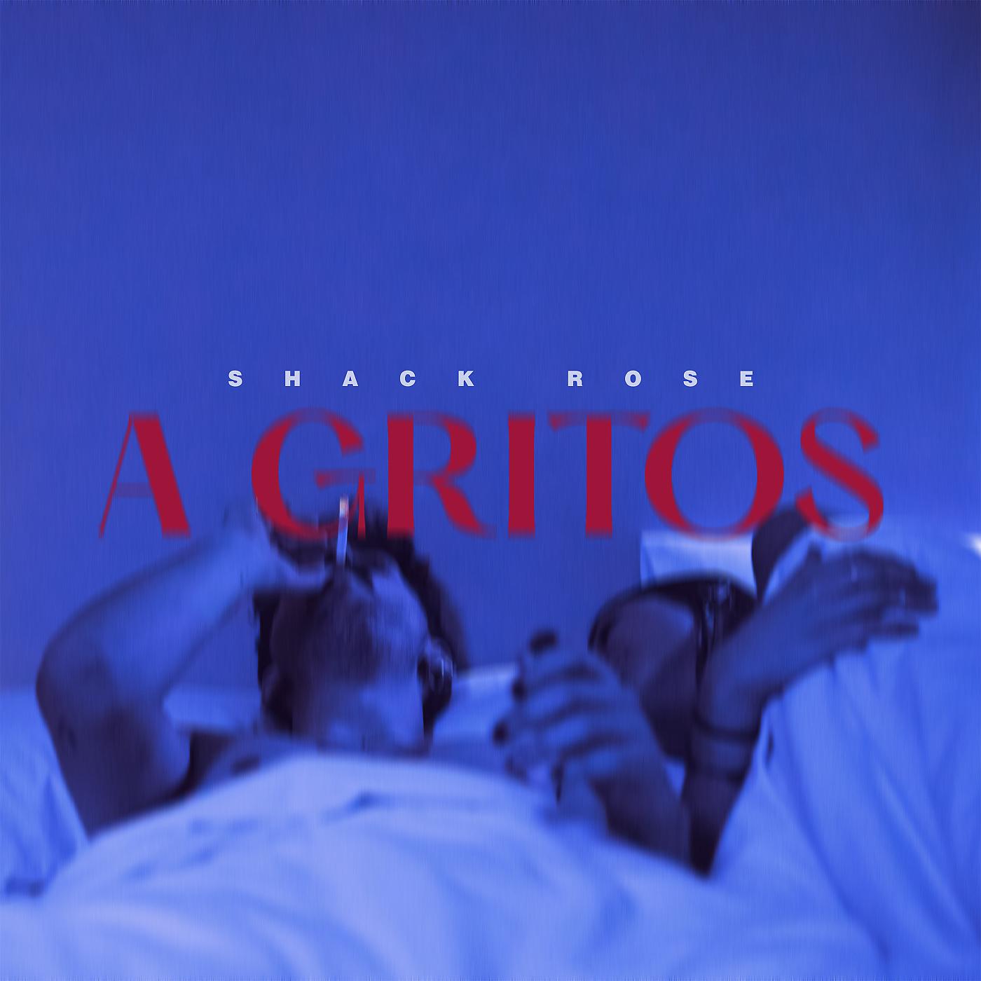 Постер альбома A gritos