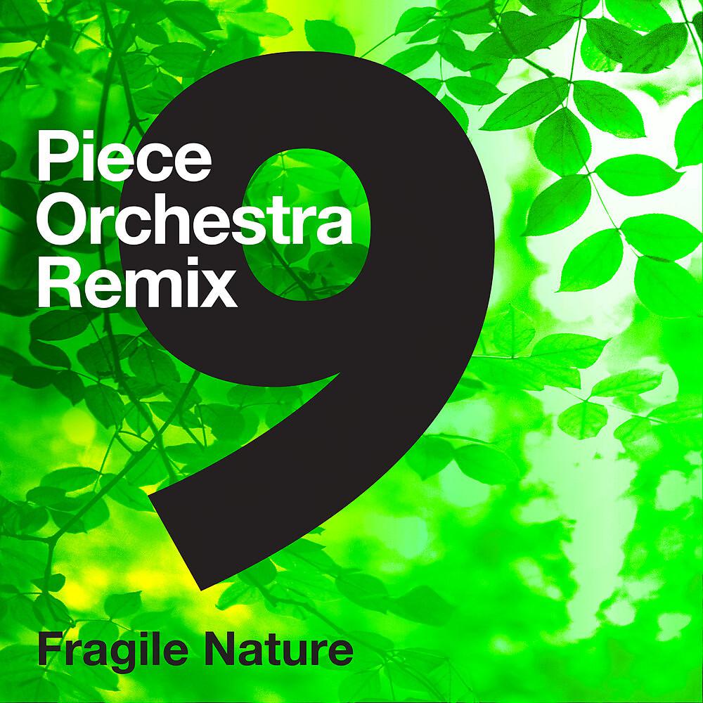 Постер альбома 9-Piece Orchestra Remix - Fragile Nature