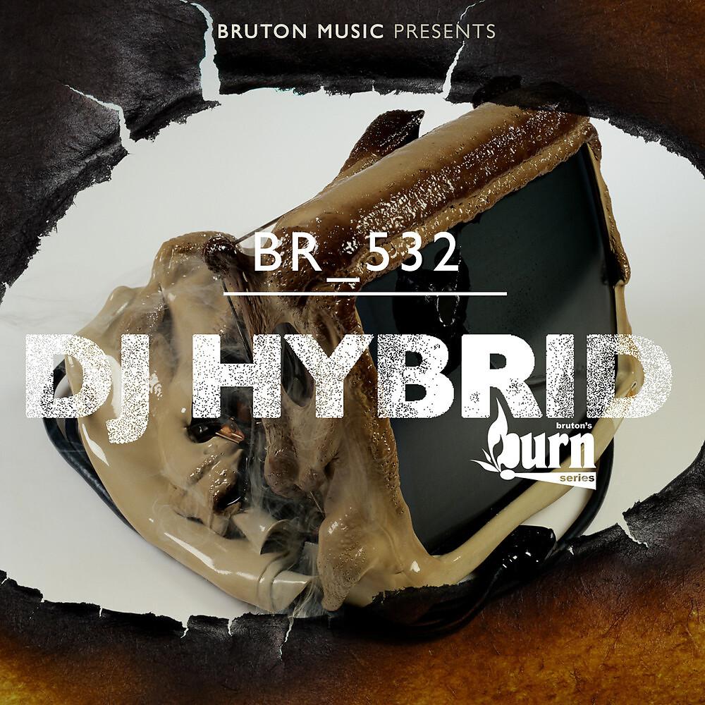 Постер альбома Burn Series: DJ Hybrid