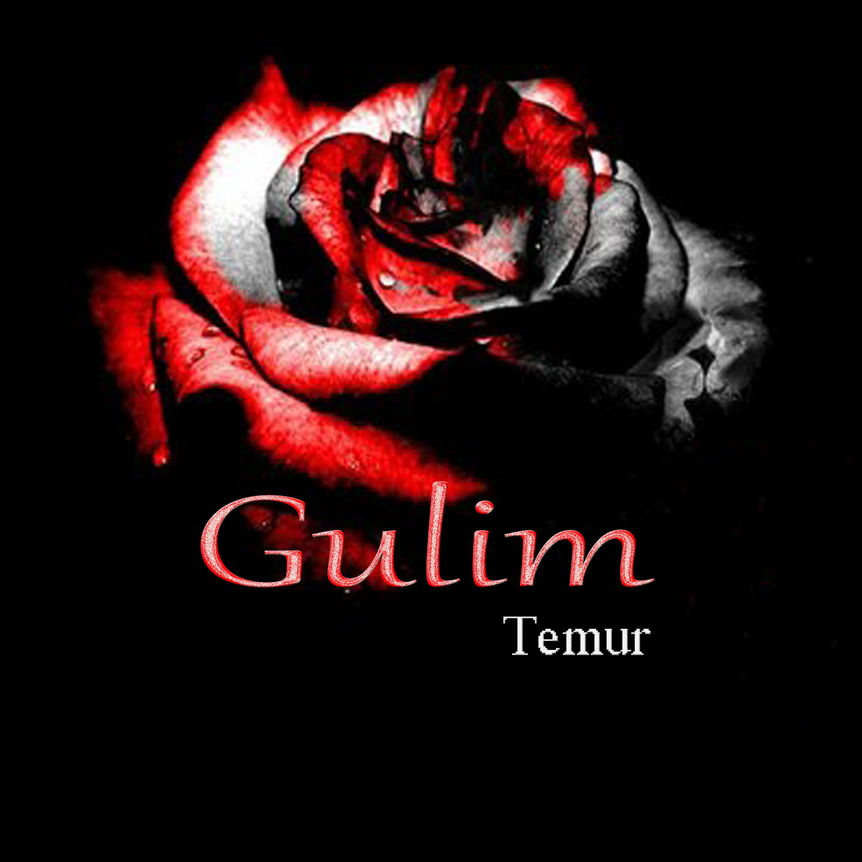 TEMUR - Gulim