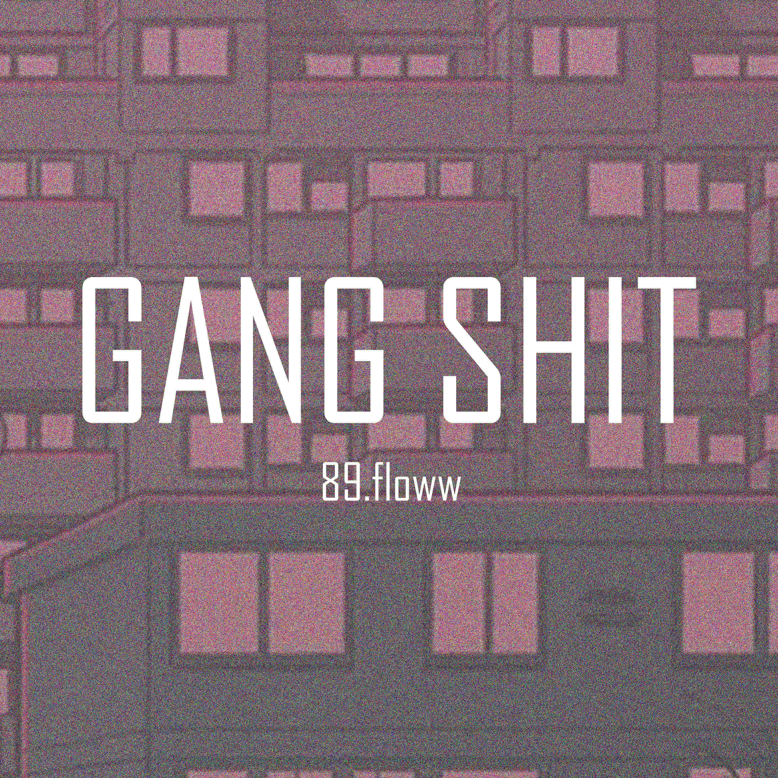 89.floww - Gang Shit