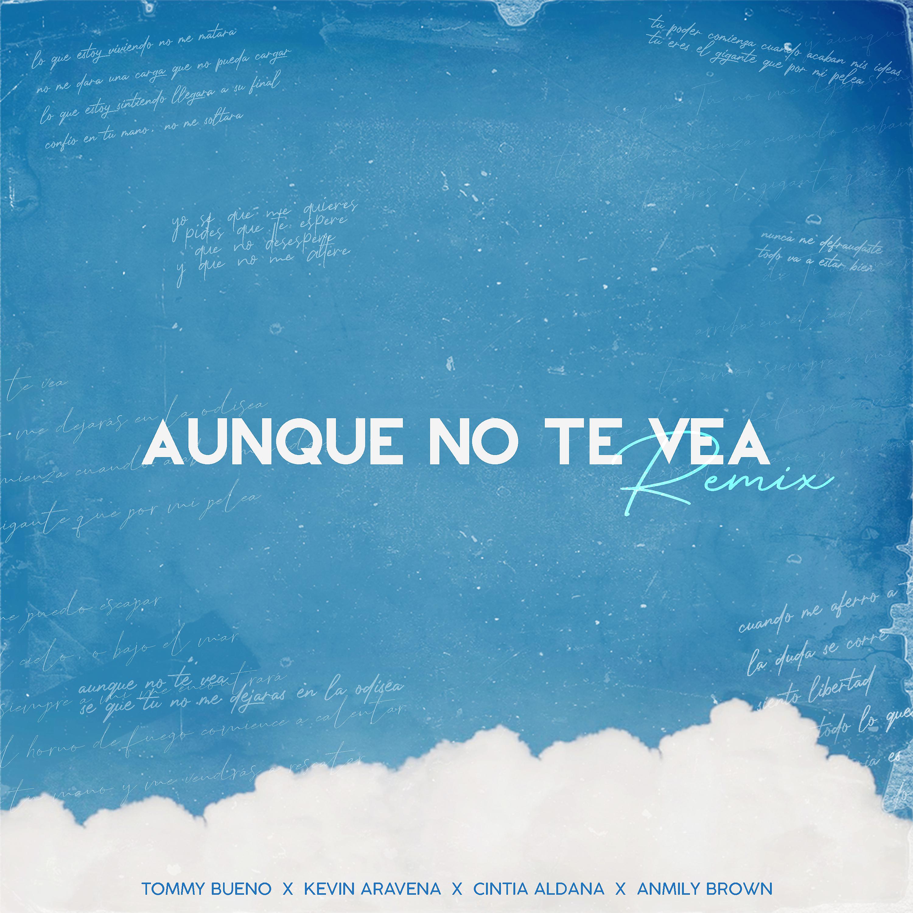 Постер альбома Aunque No Te Vea (Remix)