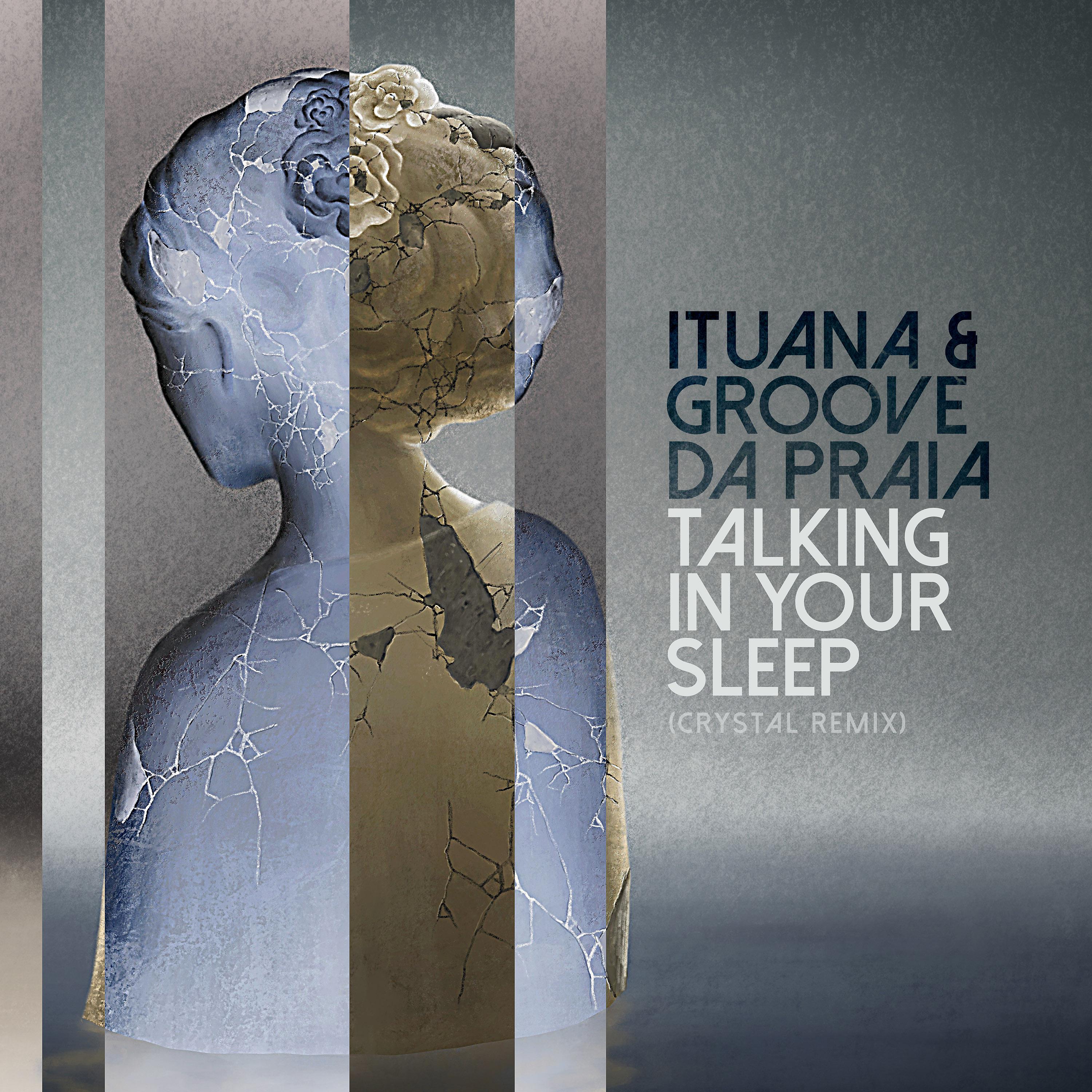 Постер альбома Talking in Your Sleep (Crystal Remix)