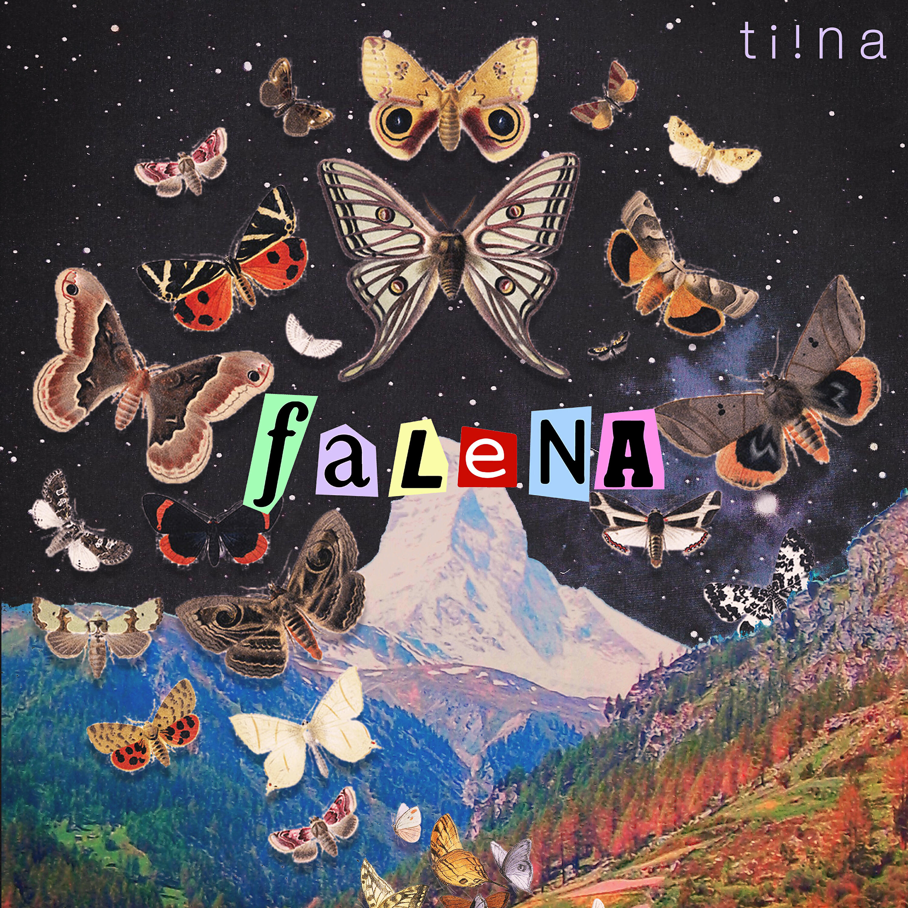 tiina - Falena