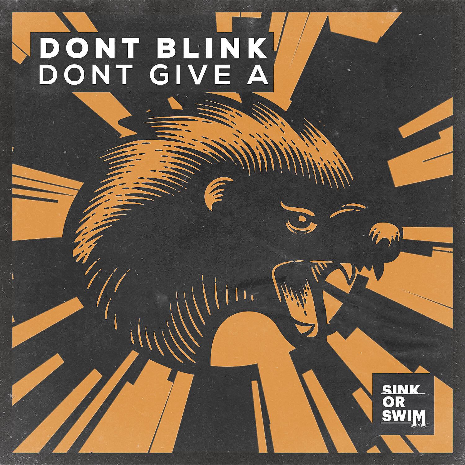 DONT BLINK - DONT GIVE A