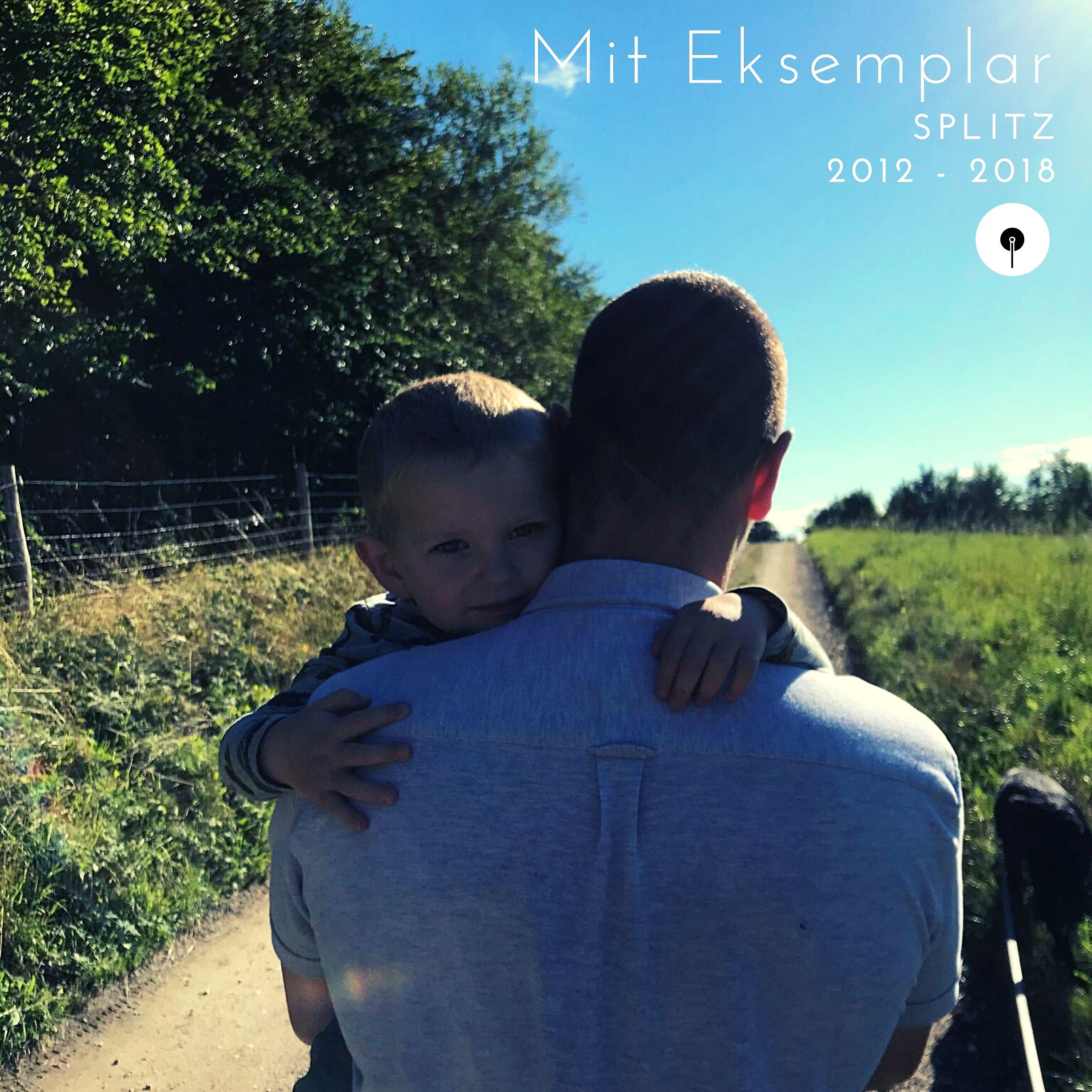 Постер альбома Mit Eksemplar