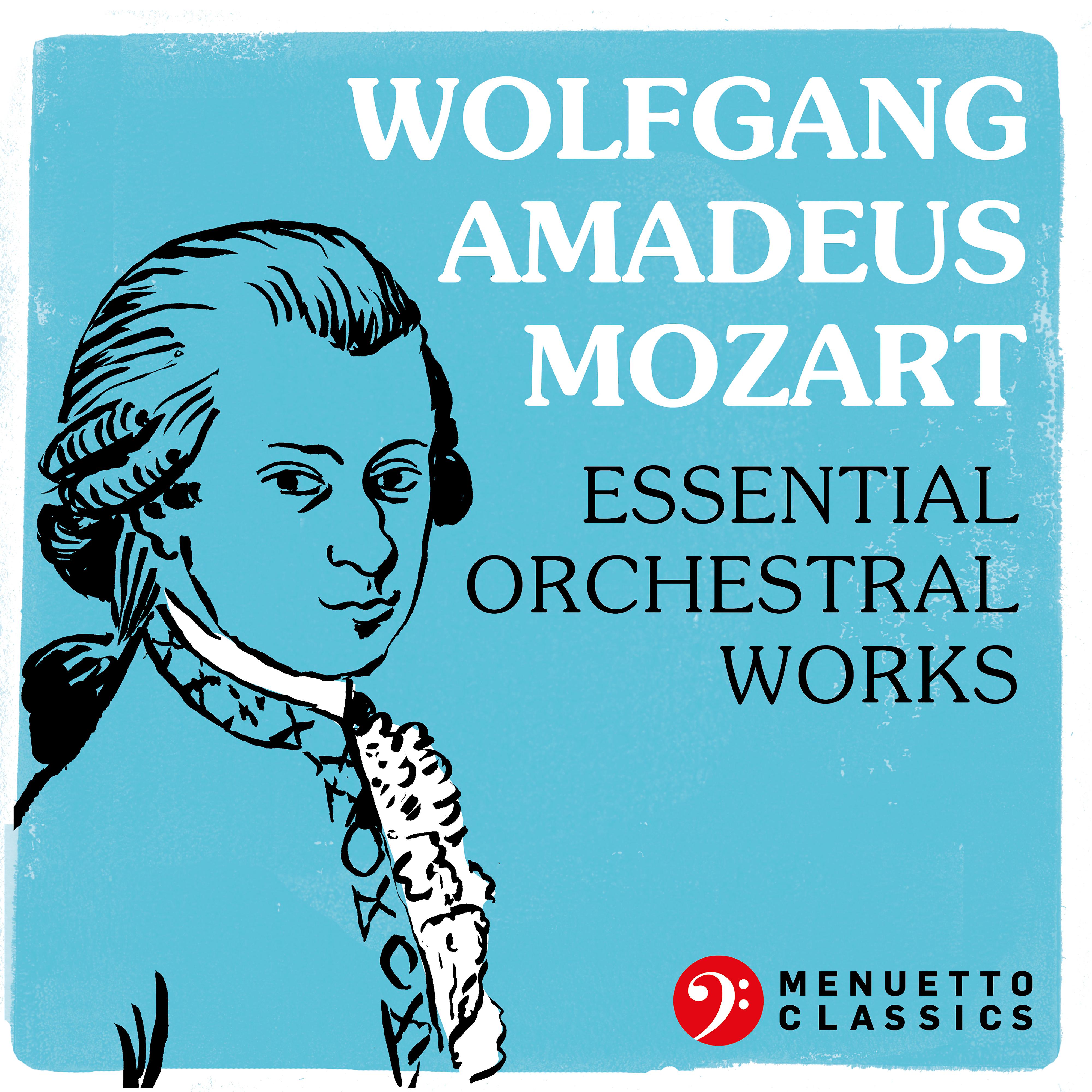 Постер альбома Wolfgang Amadeus Mozart: Essential Orchestral Works