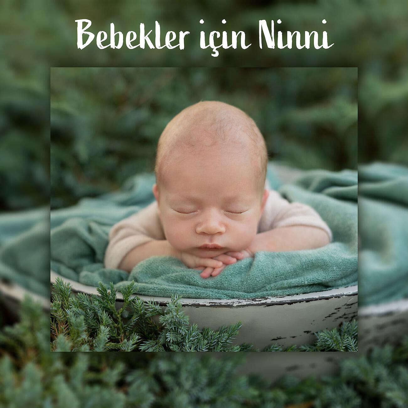 Bebek Uyku Ninnileri - Uyu Bebeğim 3 Ay