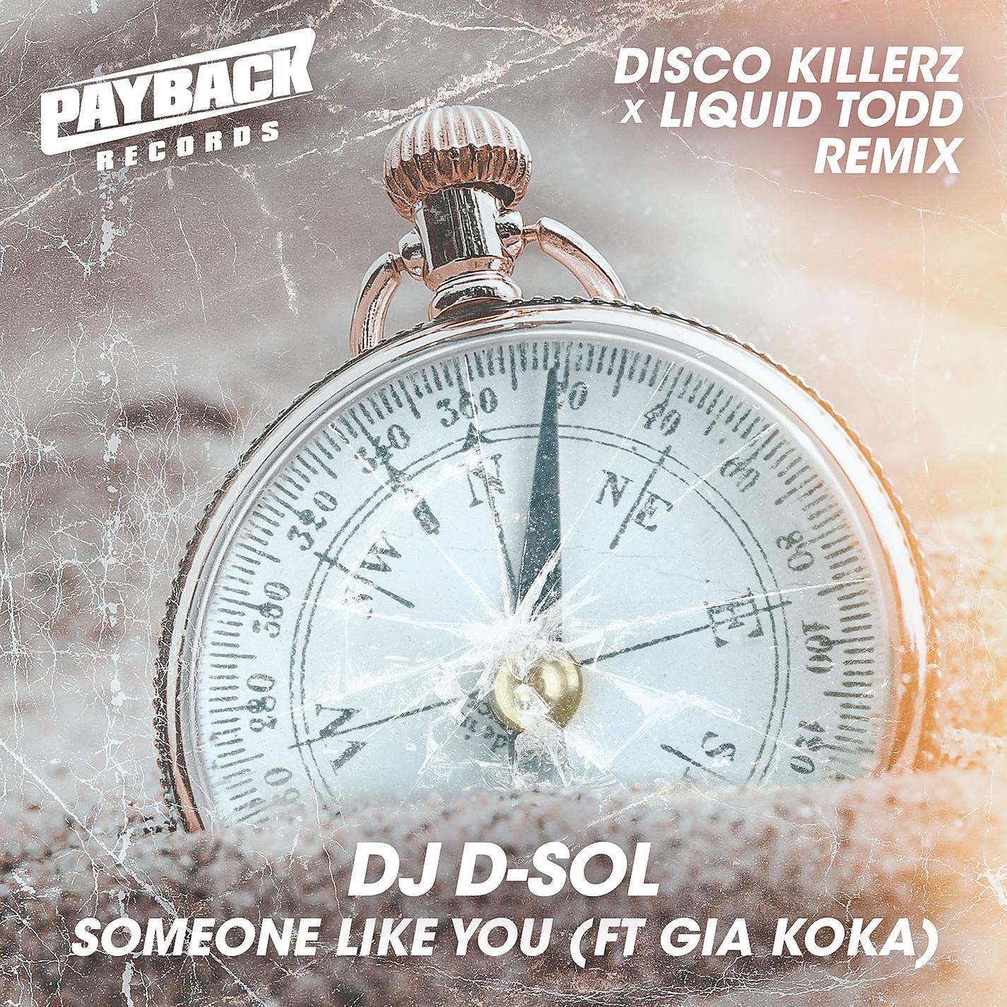 Постер альбома Someone Like You (feat. Gia Koka) [Disco Killerz & Liquid Todd Remix]