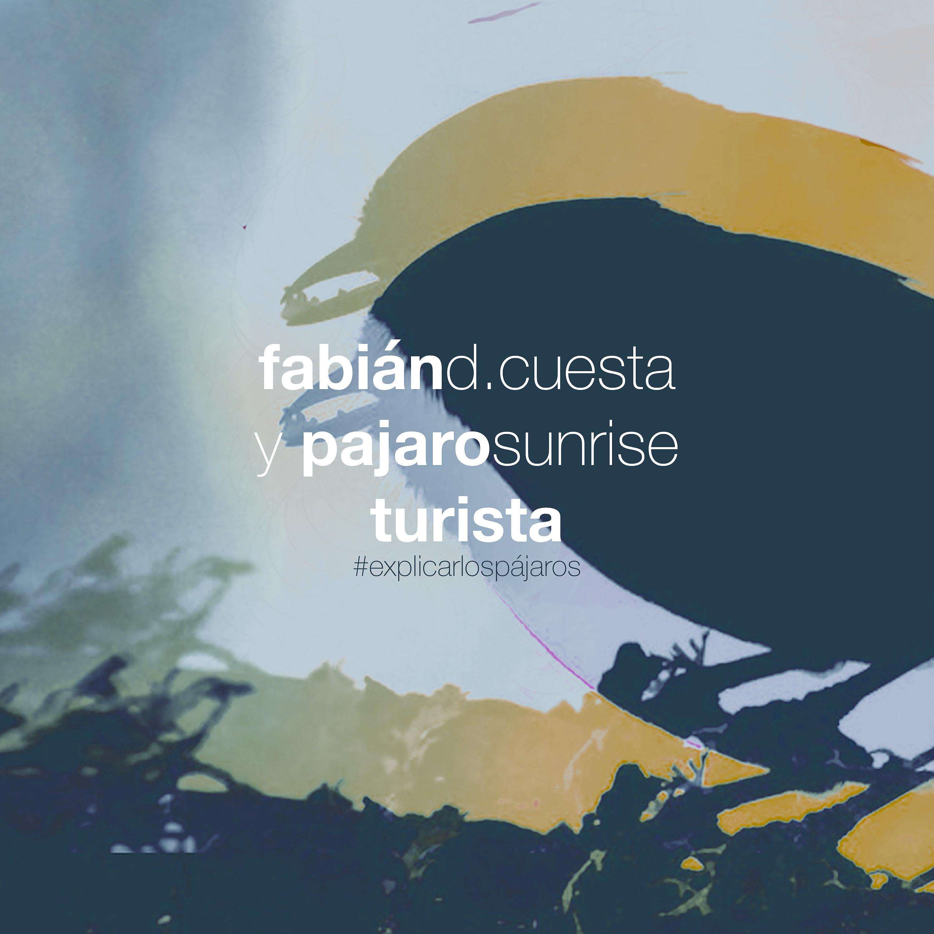 Постер альбома Turista - Explicar los Pájaros