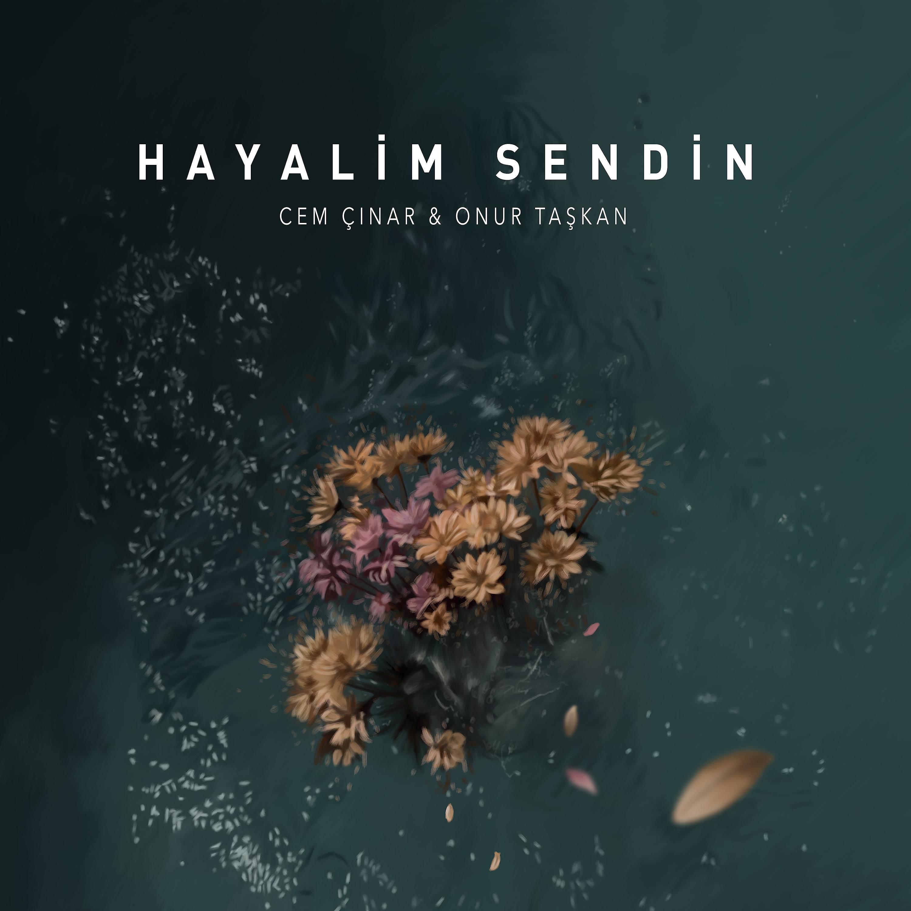 Постер альбома Hayalim Sendin