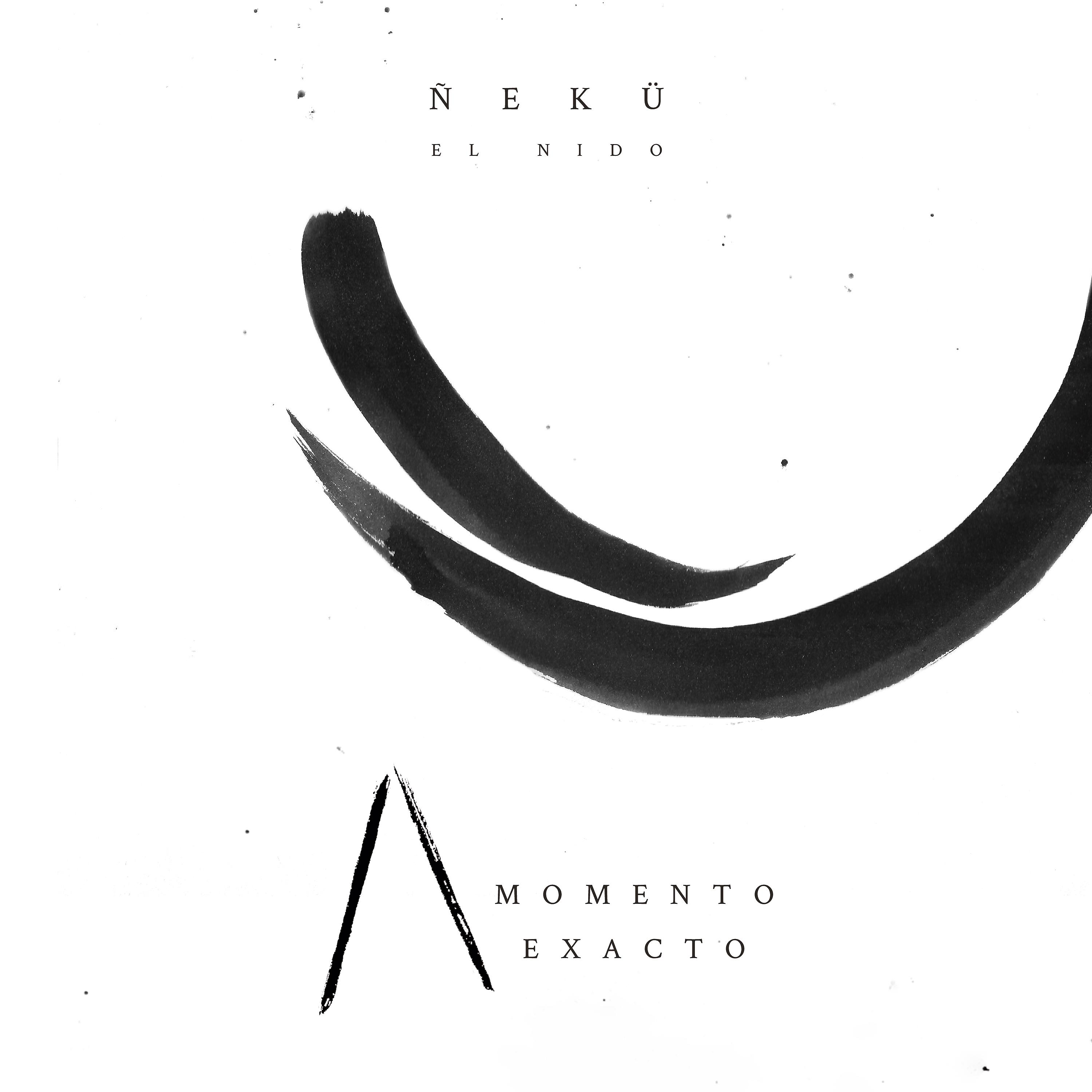 Постер альбома Momento Exacto