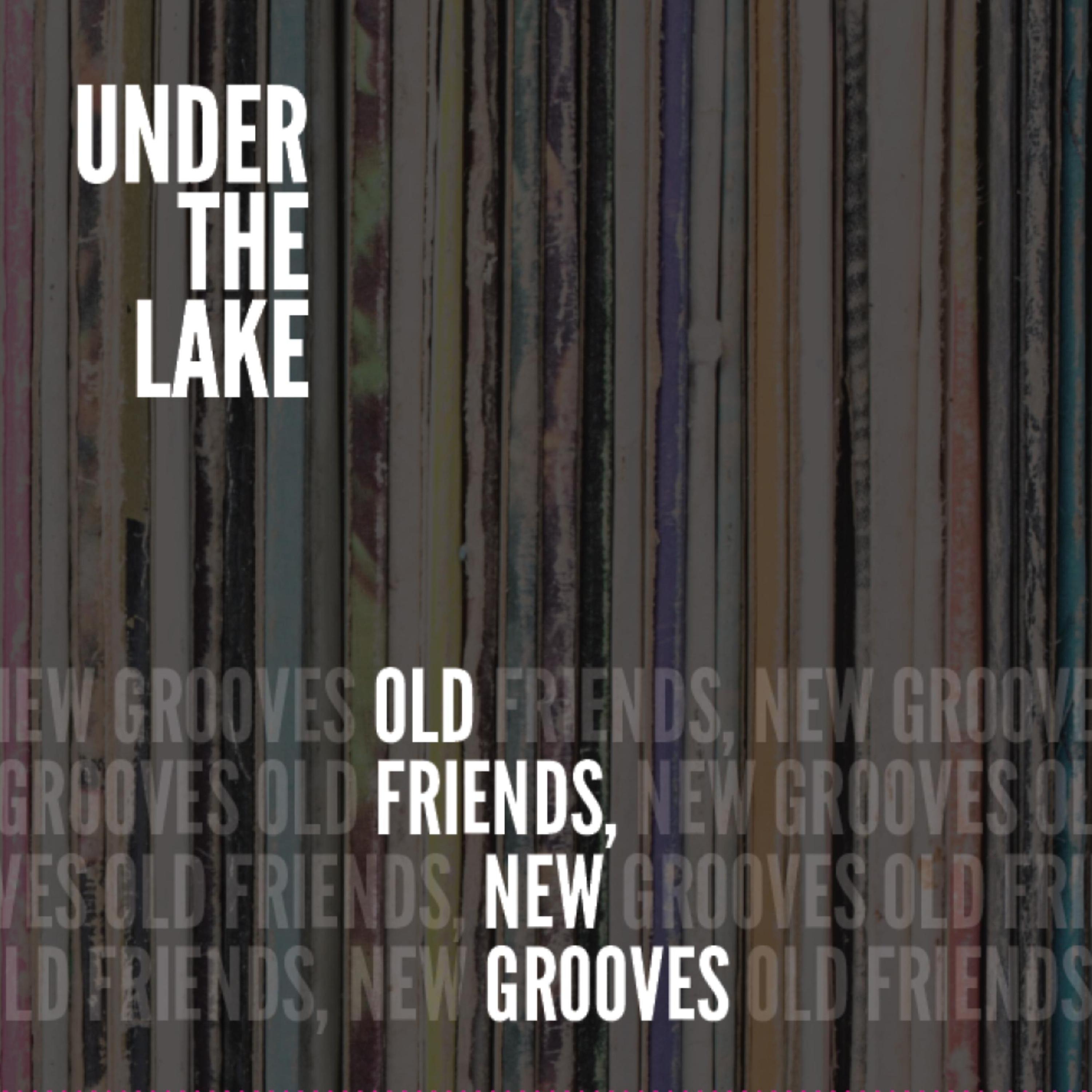 Постер альбома Old Friends, New Grooves