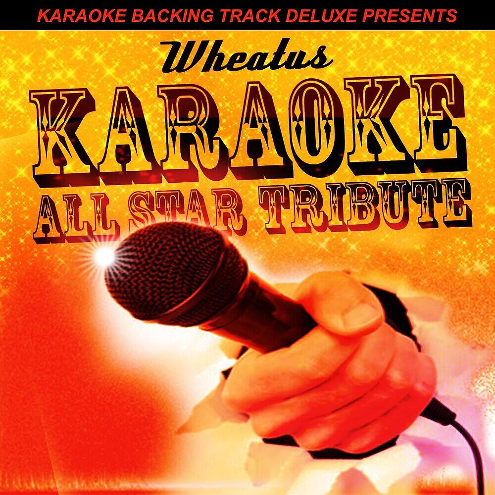 Karaoke All Star - Teenage Dirtbag (In the Style of Wheatus) [Karaoke Version]