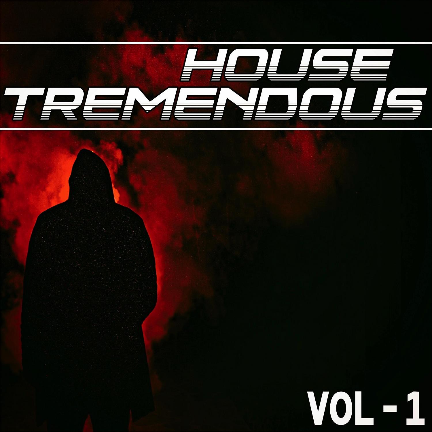 Постер альбома House Tremendous, Vol. 1 - Selected House Music for You