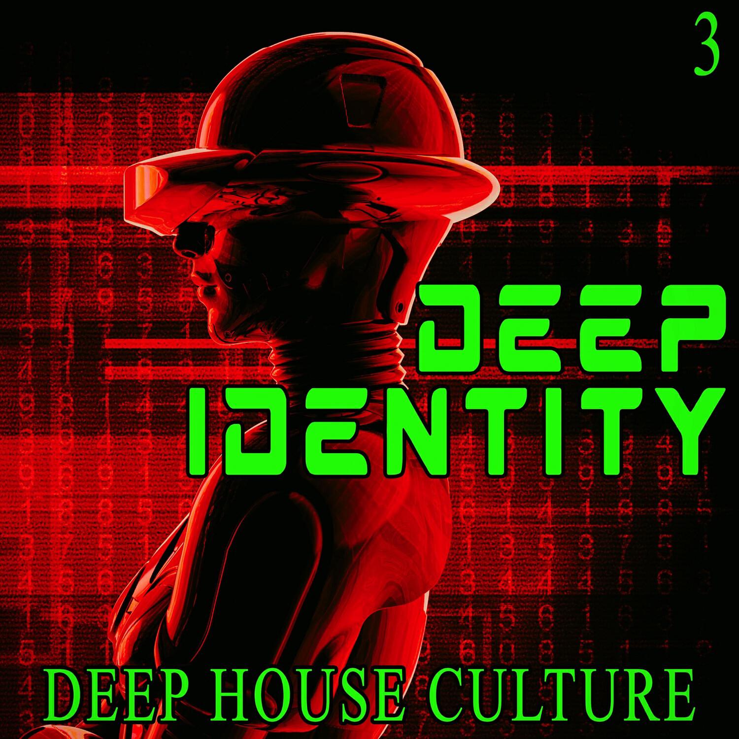 Karl Winsor - Deep Flower (Harmonic Way Mix)