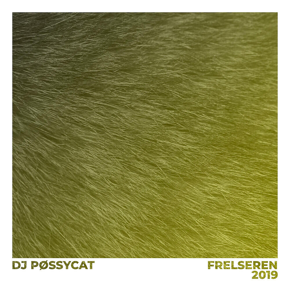 DJ Pøssycat - Frelseren 2019