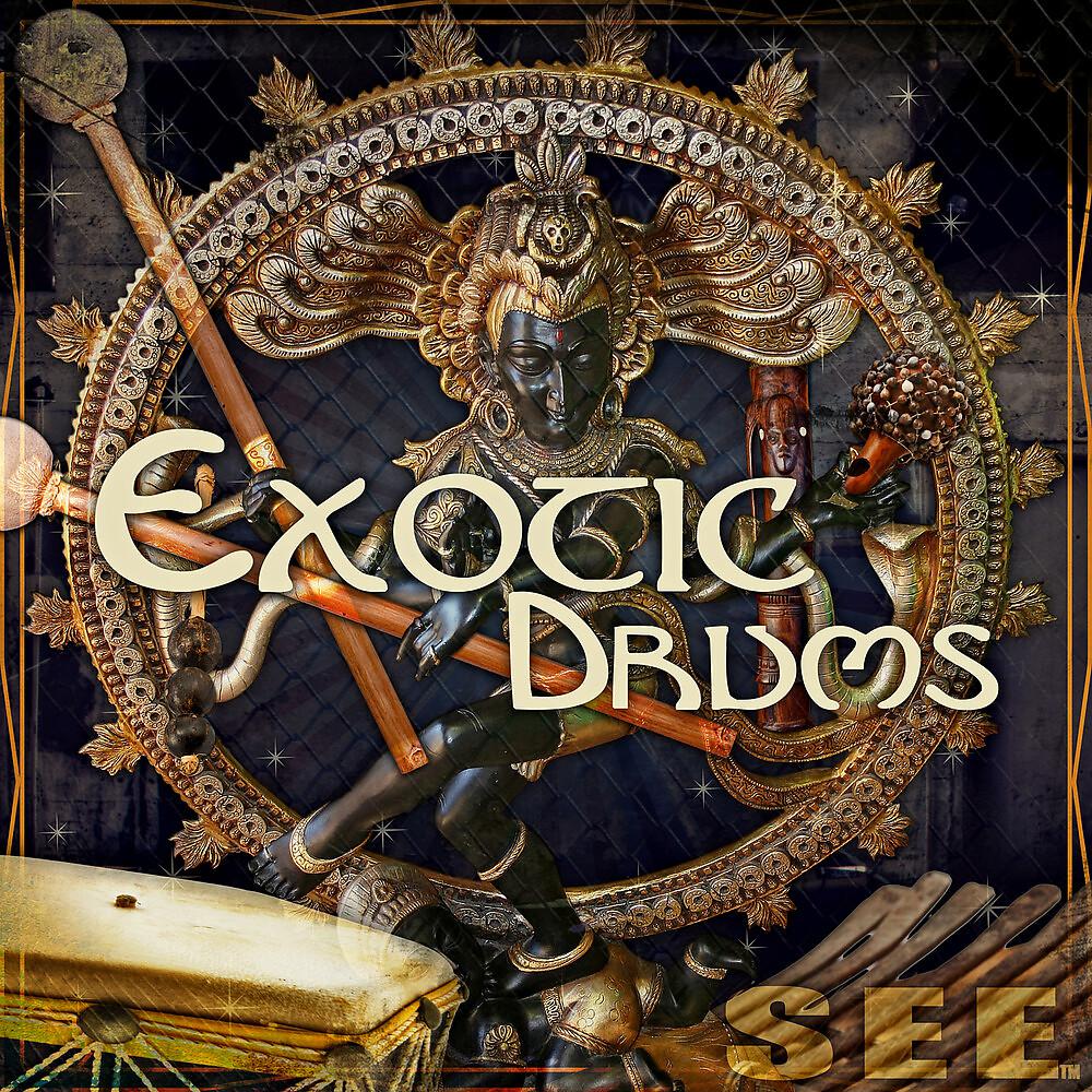 Постер альбома Exotic Drums